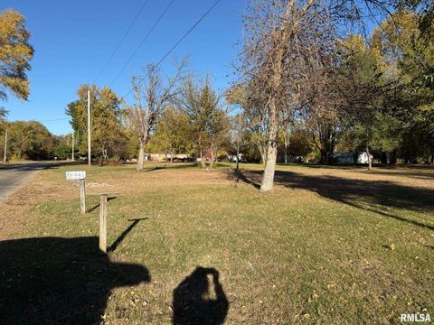 Vacant Land For Sale - 503 Edwards Street<br/> Henderson County, Oquawka, IL 61469