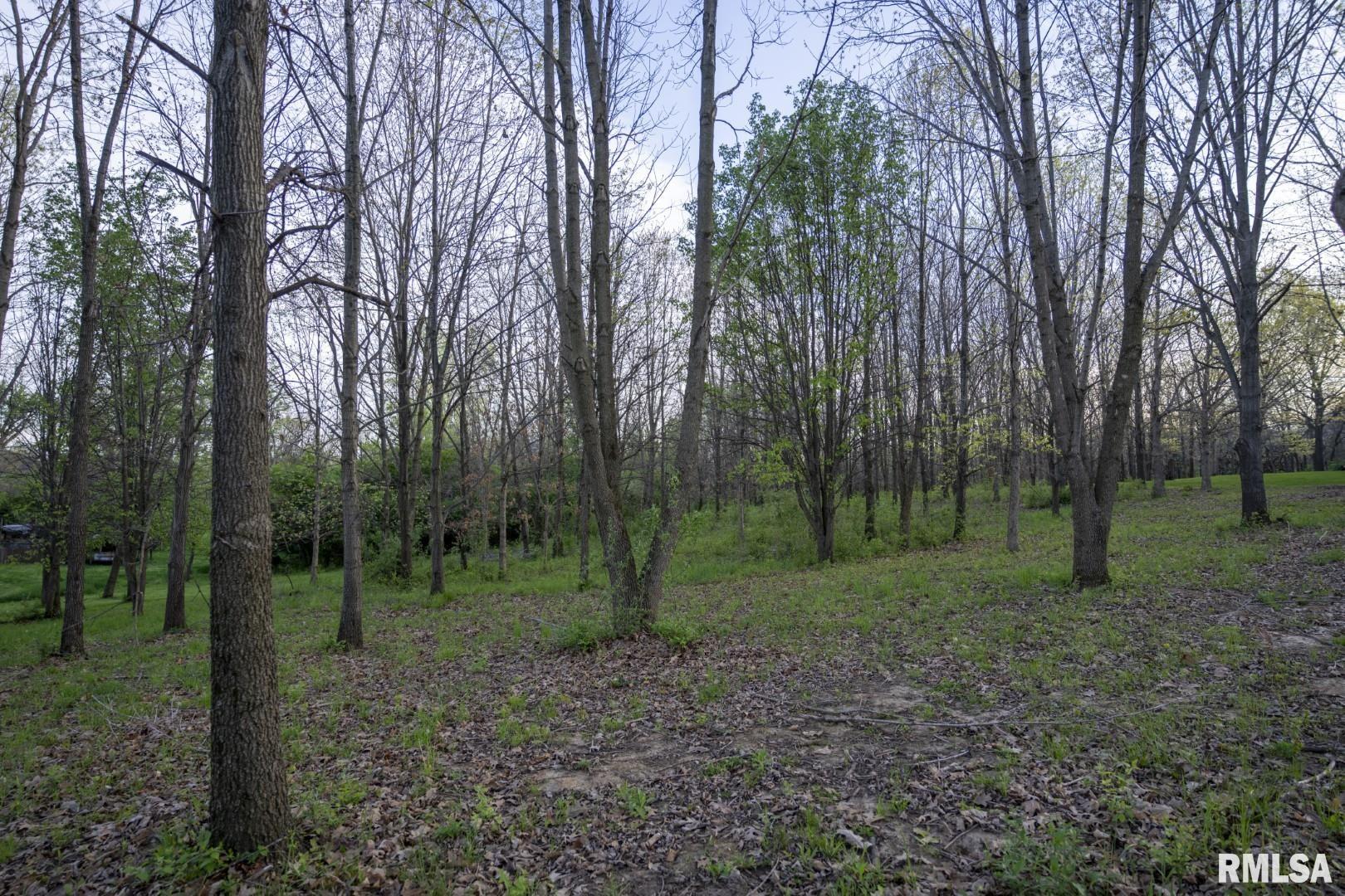 1865 Gravel Springs Circle, Jacksonville, Illinois image 25