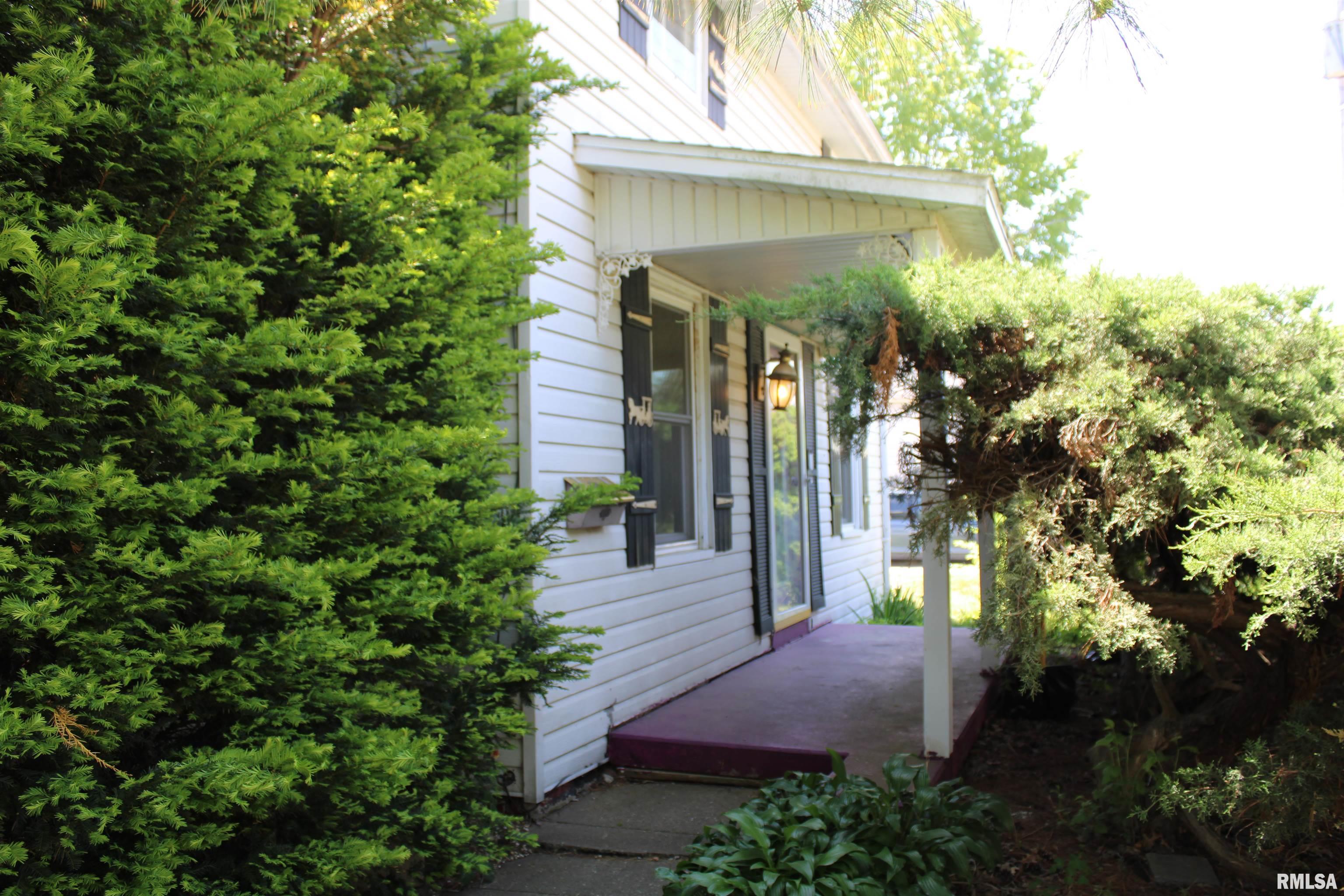 153 S Apple Street, Farmington, Illinois image 8