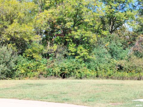 Vacant Land For Sale - 114 Samuel Court<br/> Washington, IL 61571
