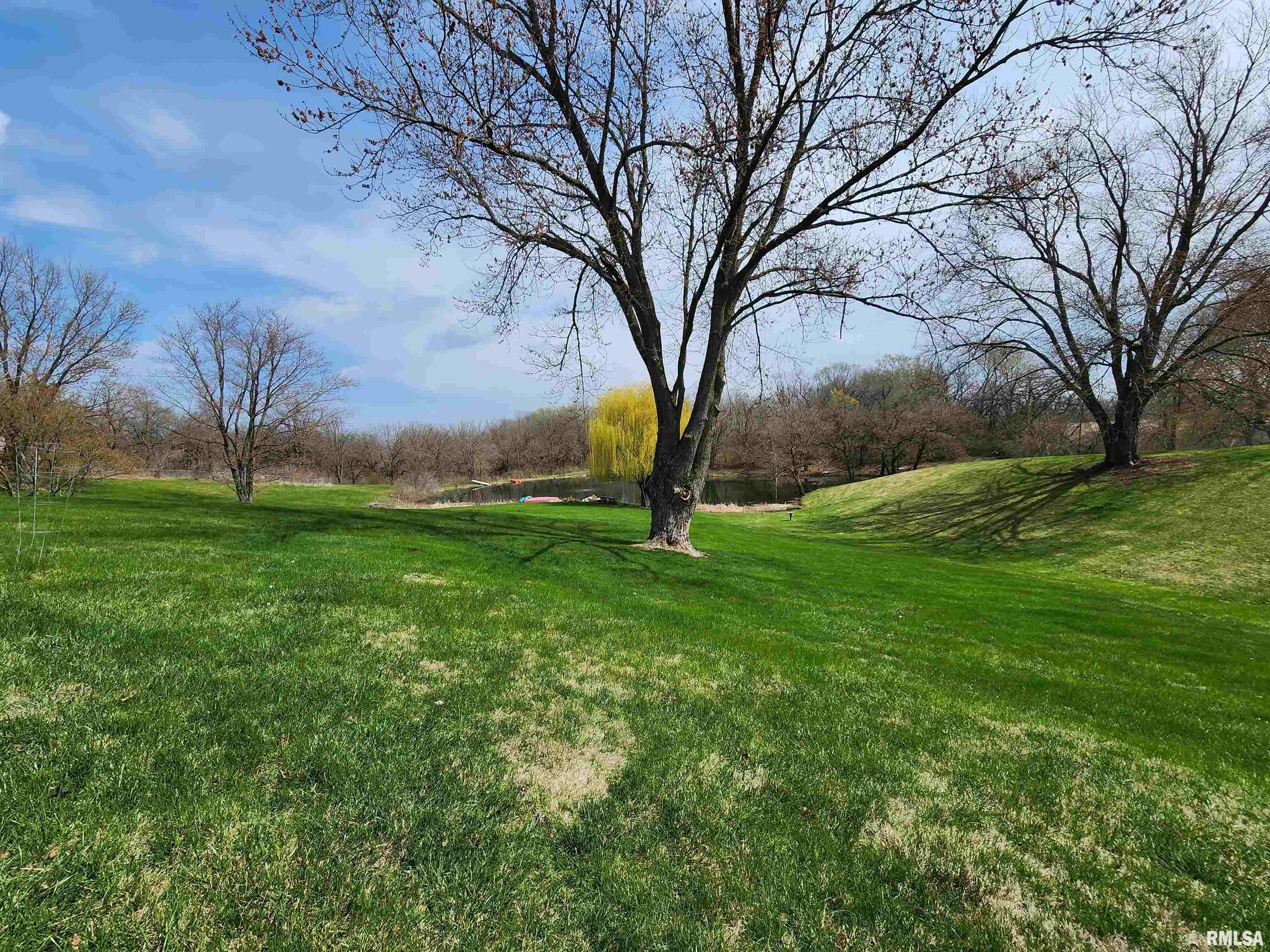 11127 Ridgewood Road, Milan, Illinois image 28