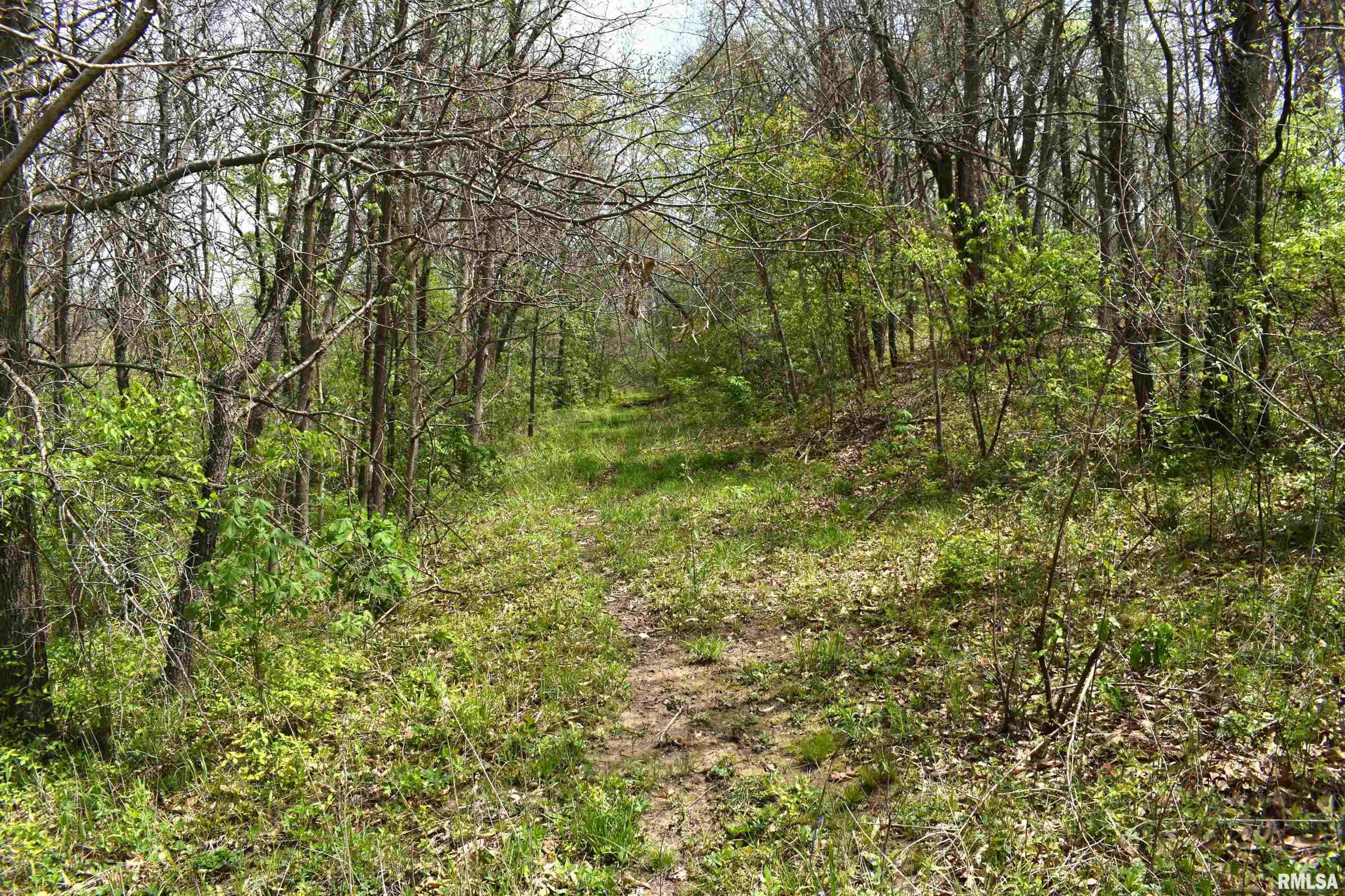 Hammer Road, Concord, Illinois image 12