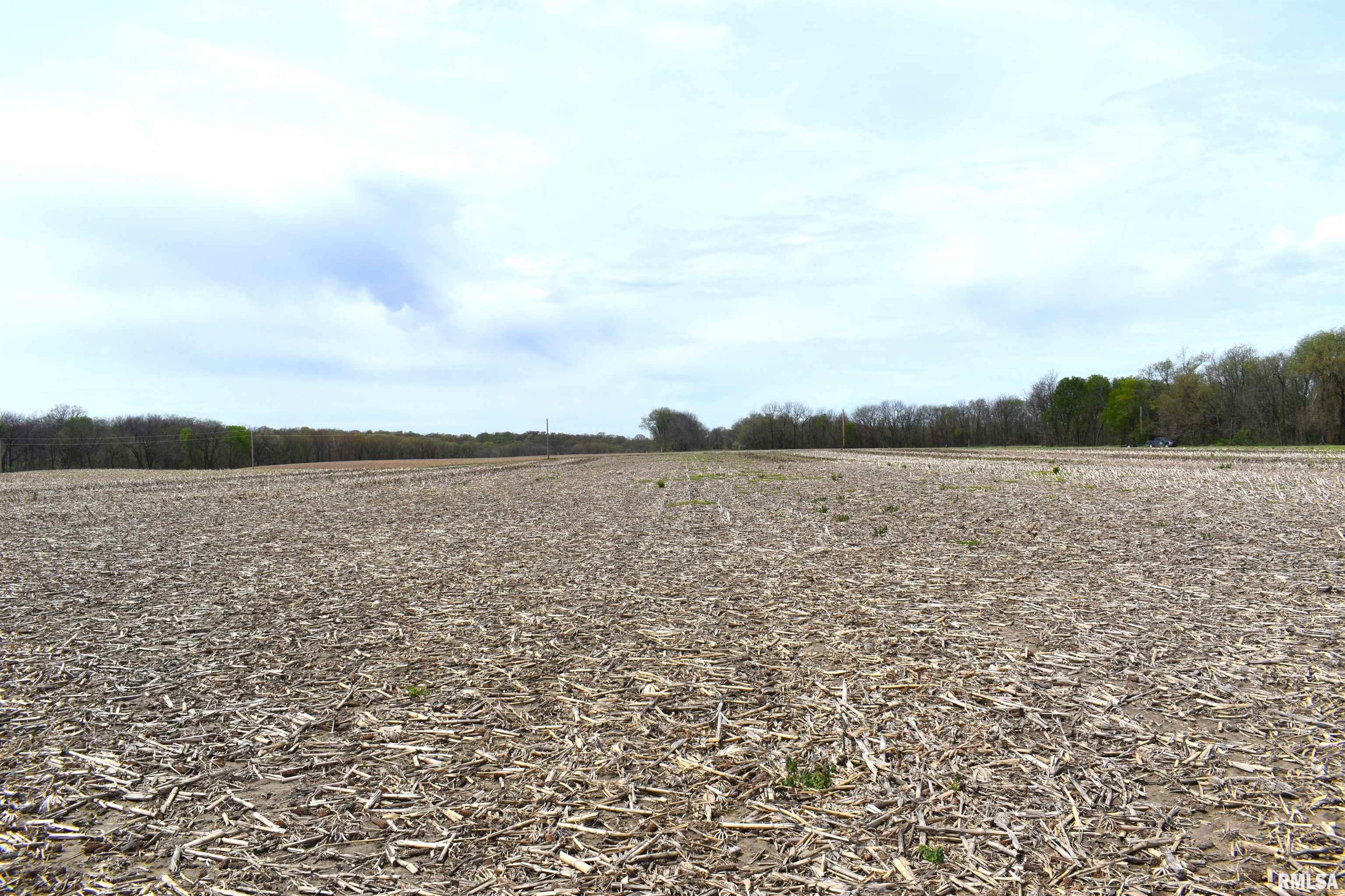 Hammer Road, Concord, Illinois image 6