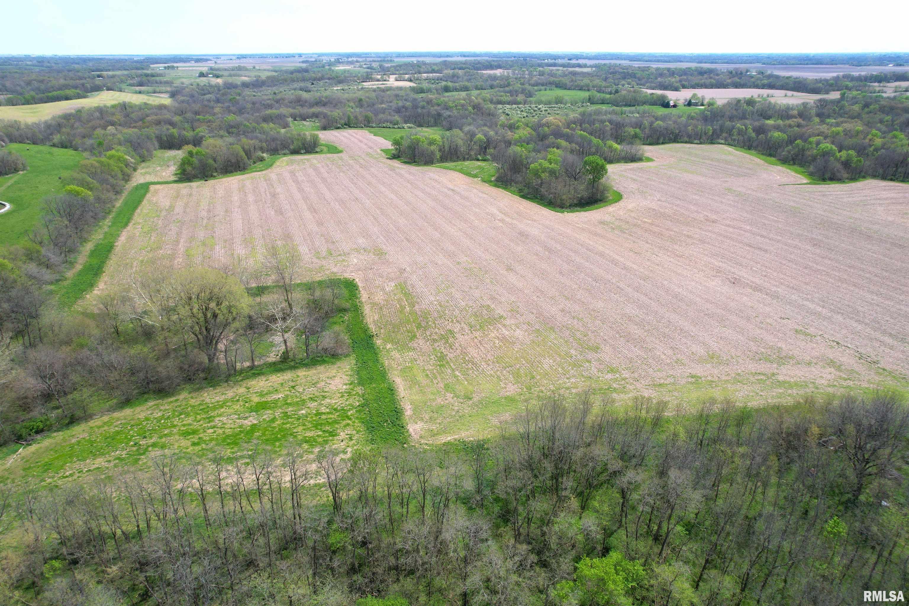 Hammer Road, Concord, Illinois image 1