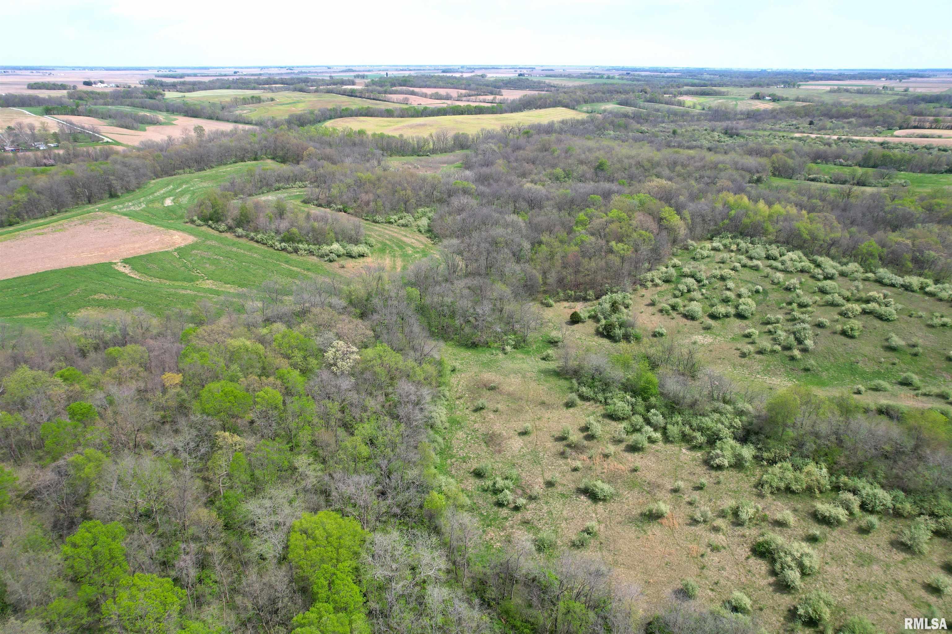 Hammer Road, Concord, Illinois image 9