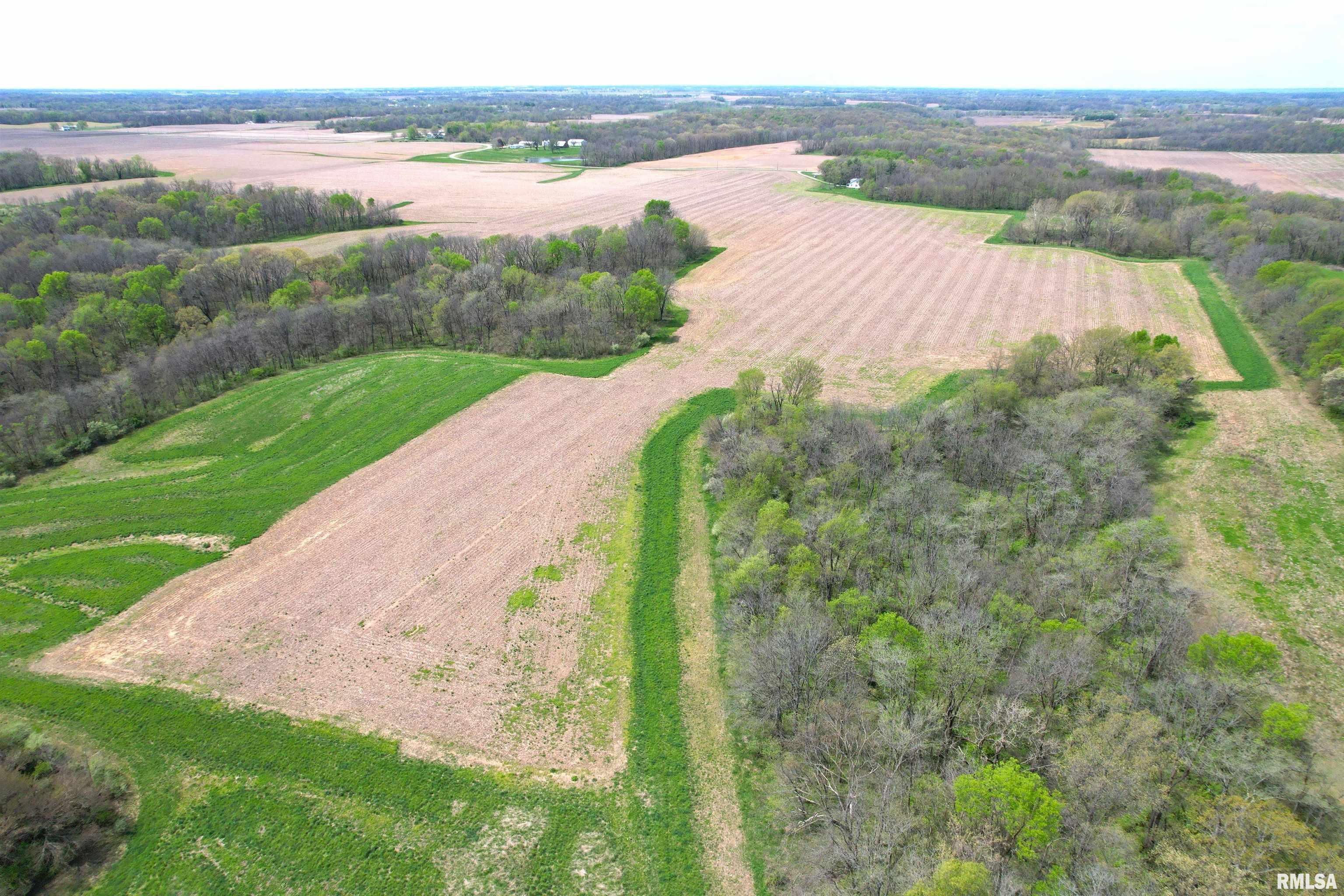 Hammer Road, Concord, Illinois image 7
