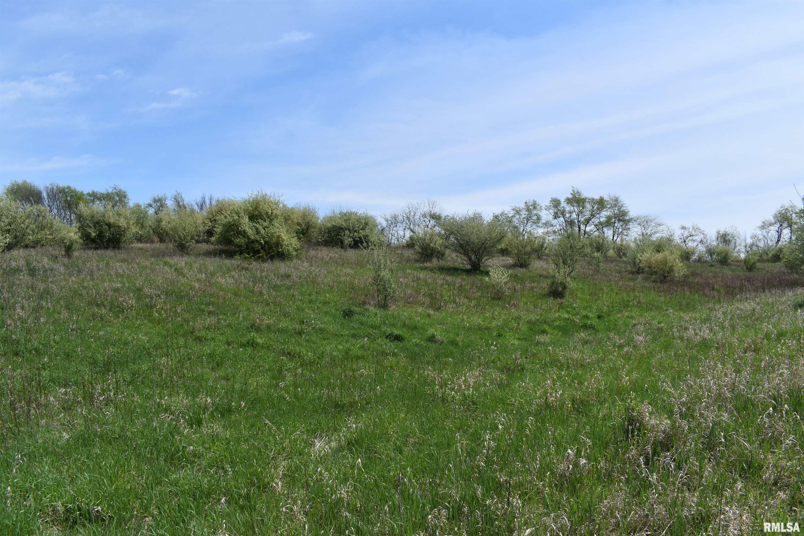 Hammer Road, Concord, Illinois image 13