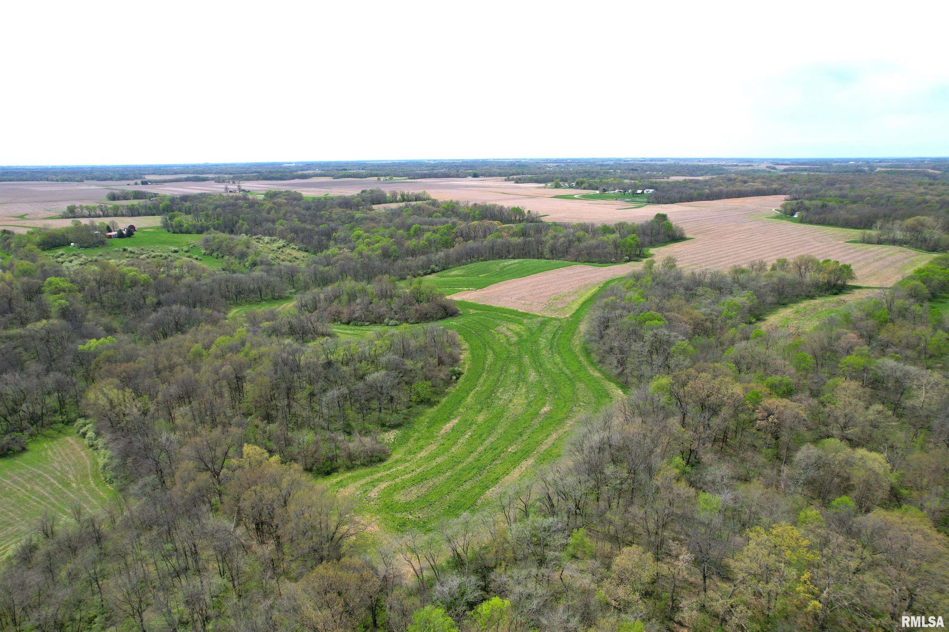 Hammer Road, Concord, Illinois image 8