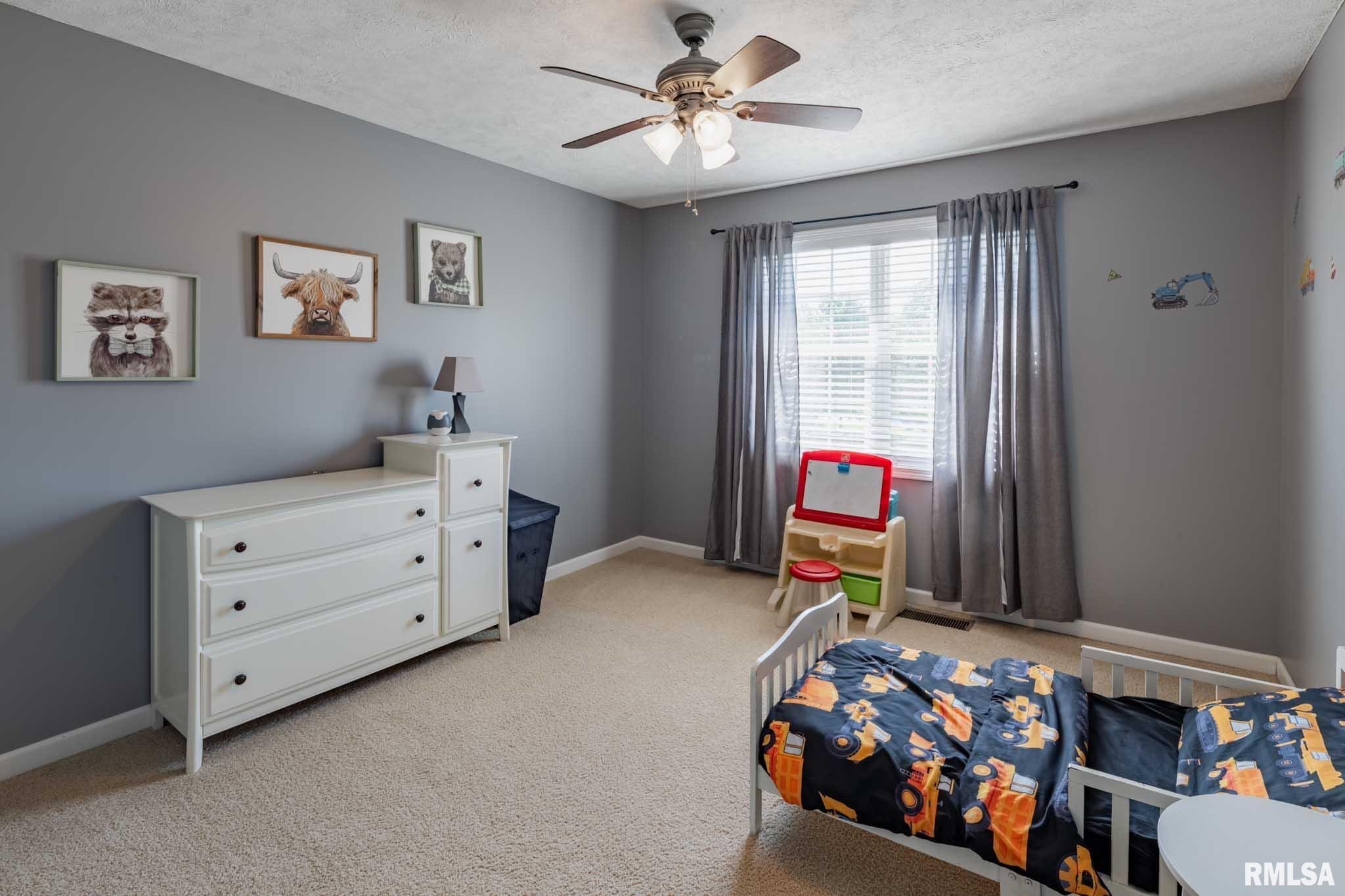 1403 Paulie Road, Carterville, Illinois image 28