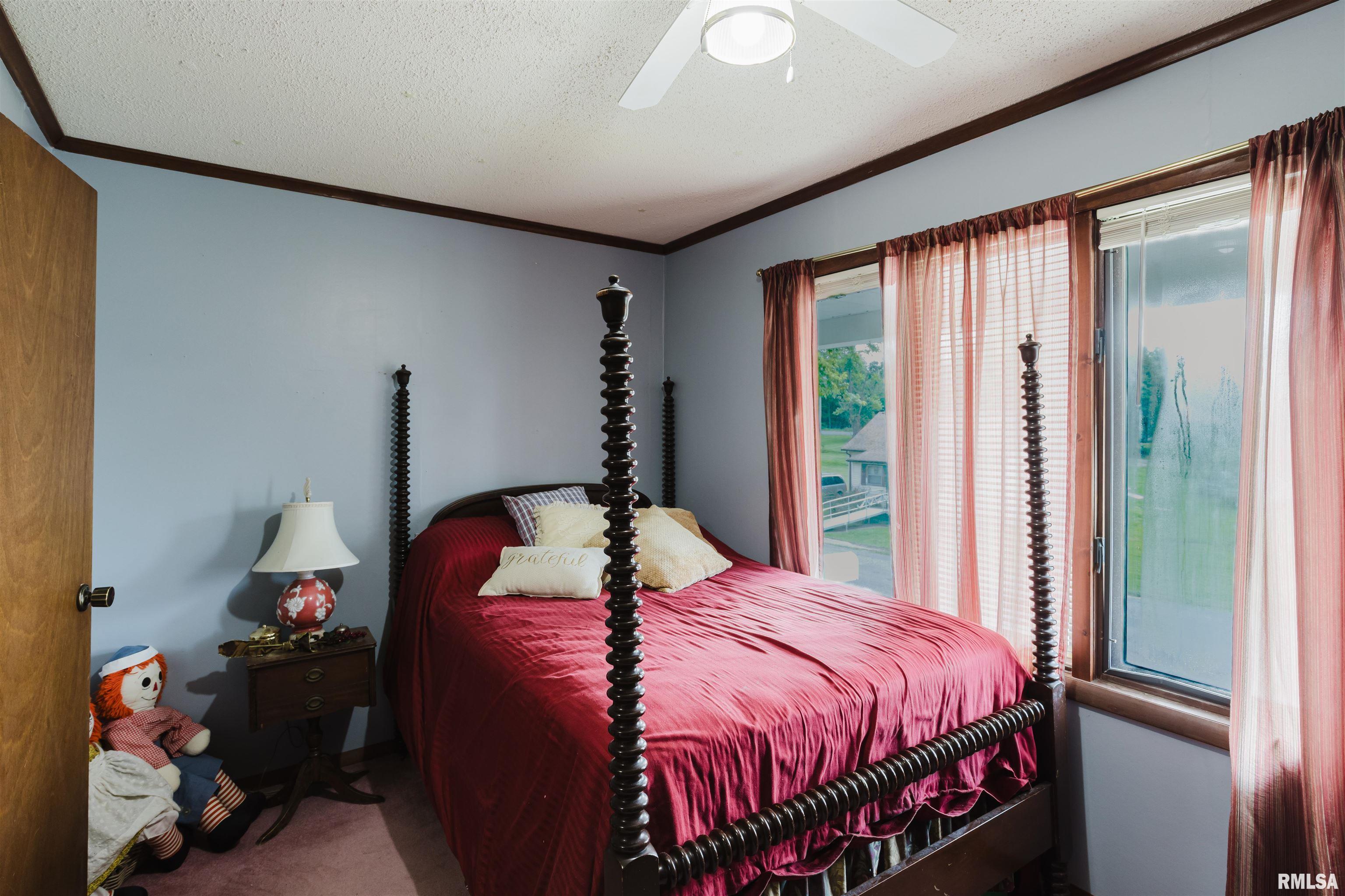 1408 Newton Avenue, Johnston City, Illinois image 12