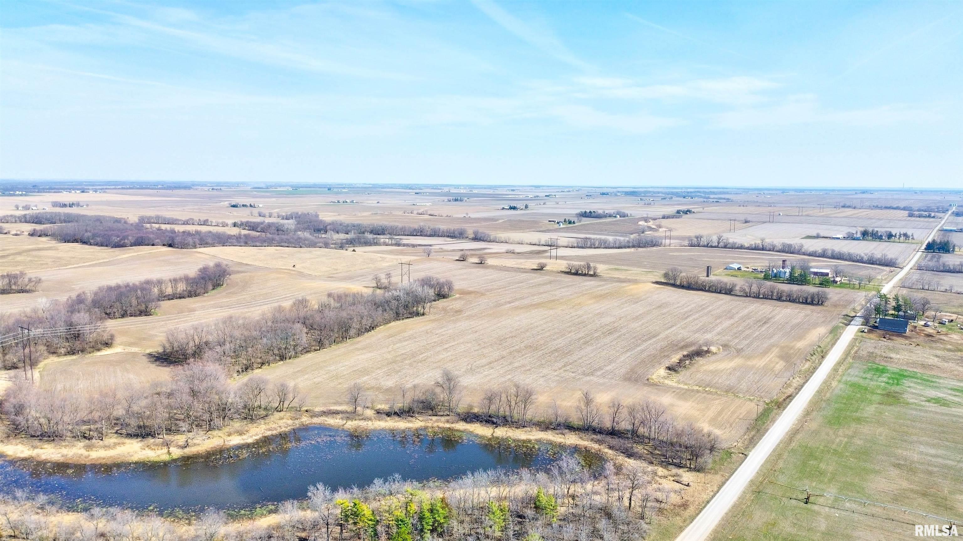 158 Acres 170th Street, Letts, Iowa image 4