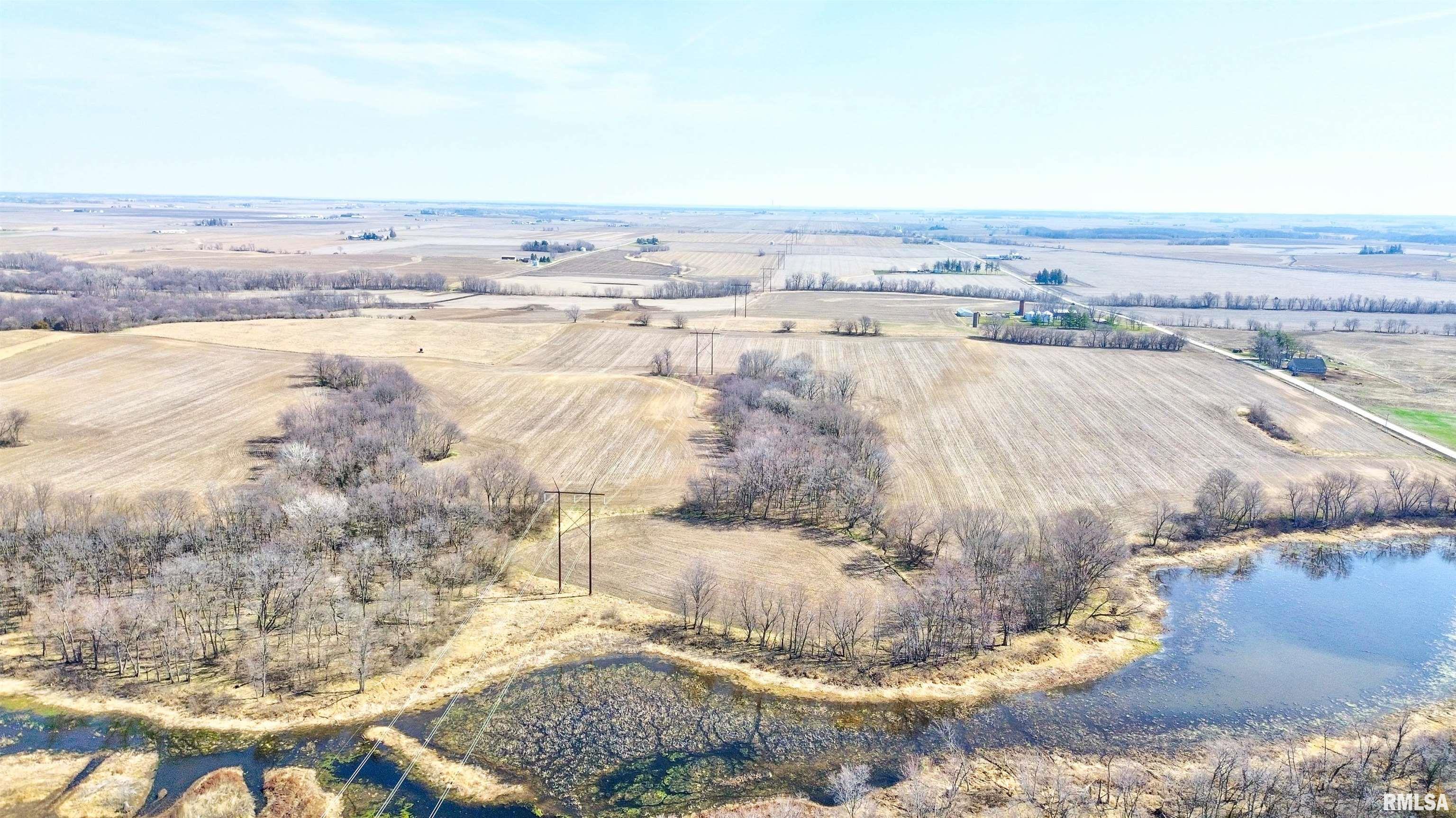 158 Acres 170th Street, Letts, Iowa image 6