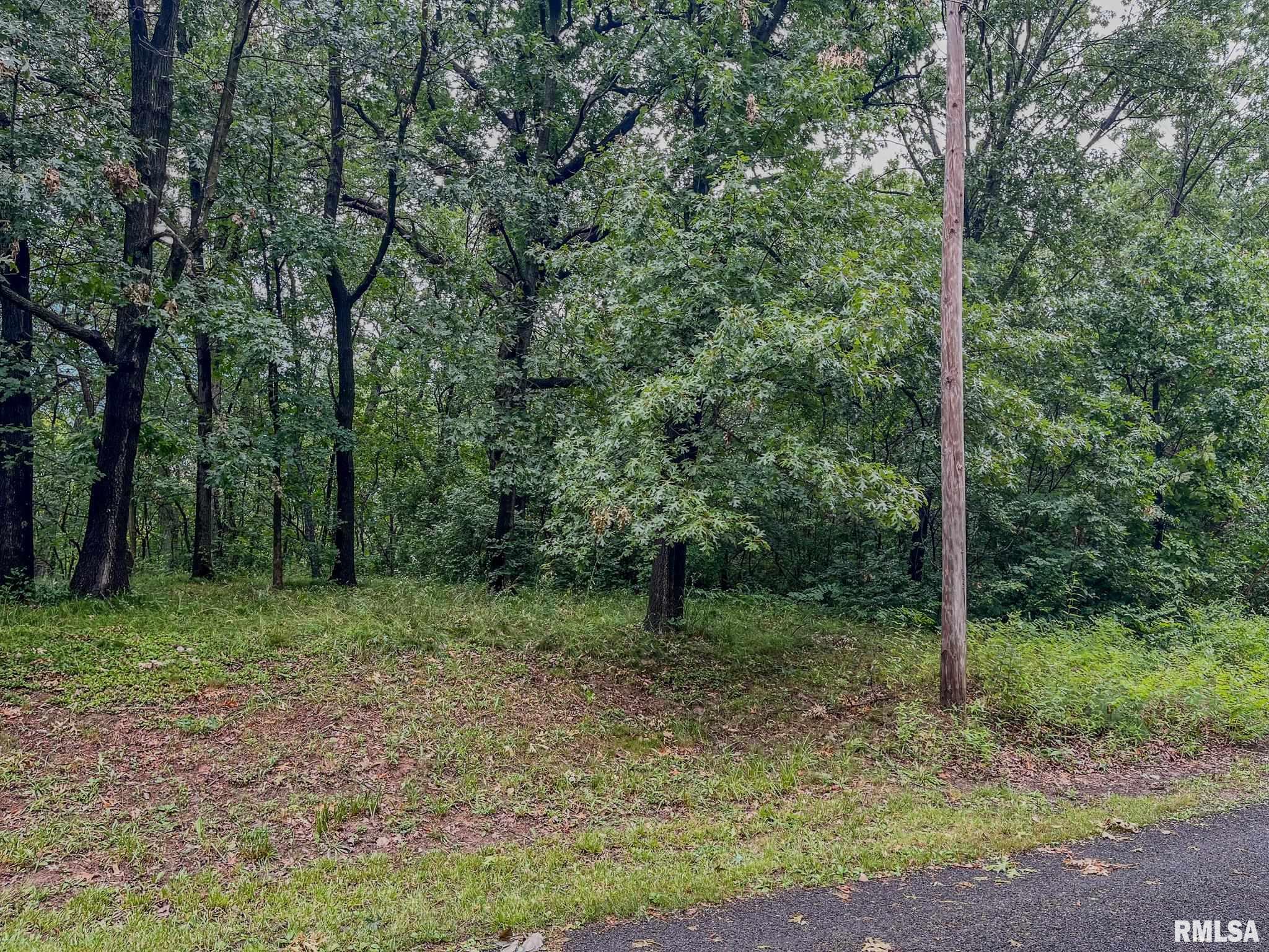 507 E Shady Oaks Court, Edelstein, Illinois image 3