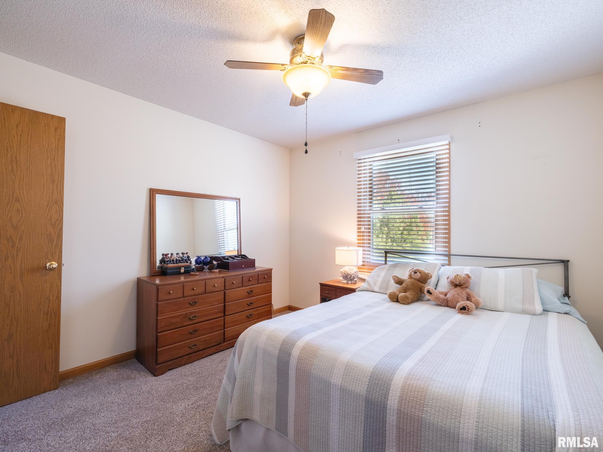 2812 W Willowlake Drive, Peoria, Illinois image 24