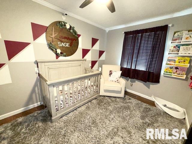 15293 Wall Street, Carterville, Illinois image 15