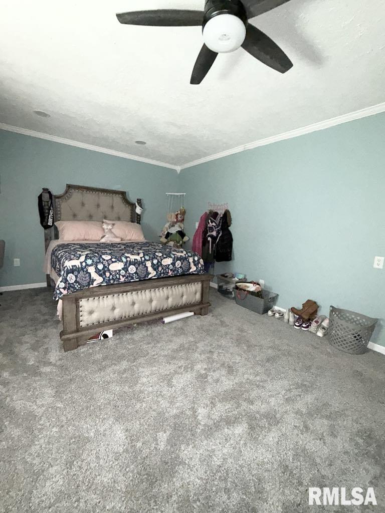 15293 Wall Street, Carterville, Illinois image 13