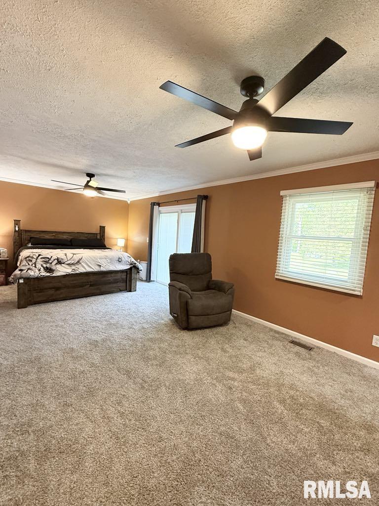15293 Wall Street, Carterville, Illinois image 14