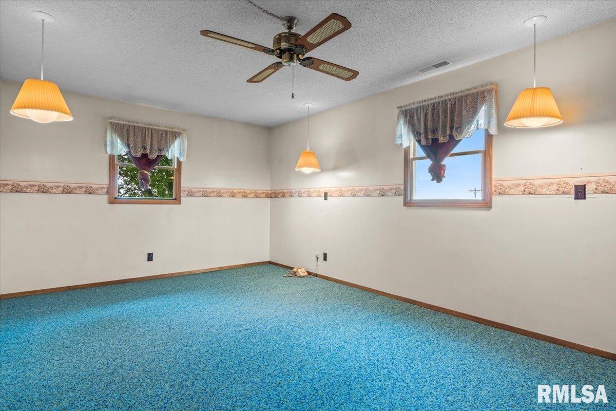 34831 Greenland Road, Virden, Illinois image 23
