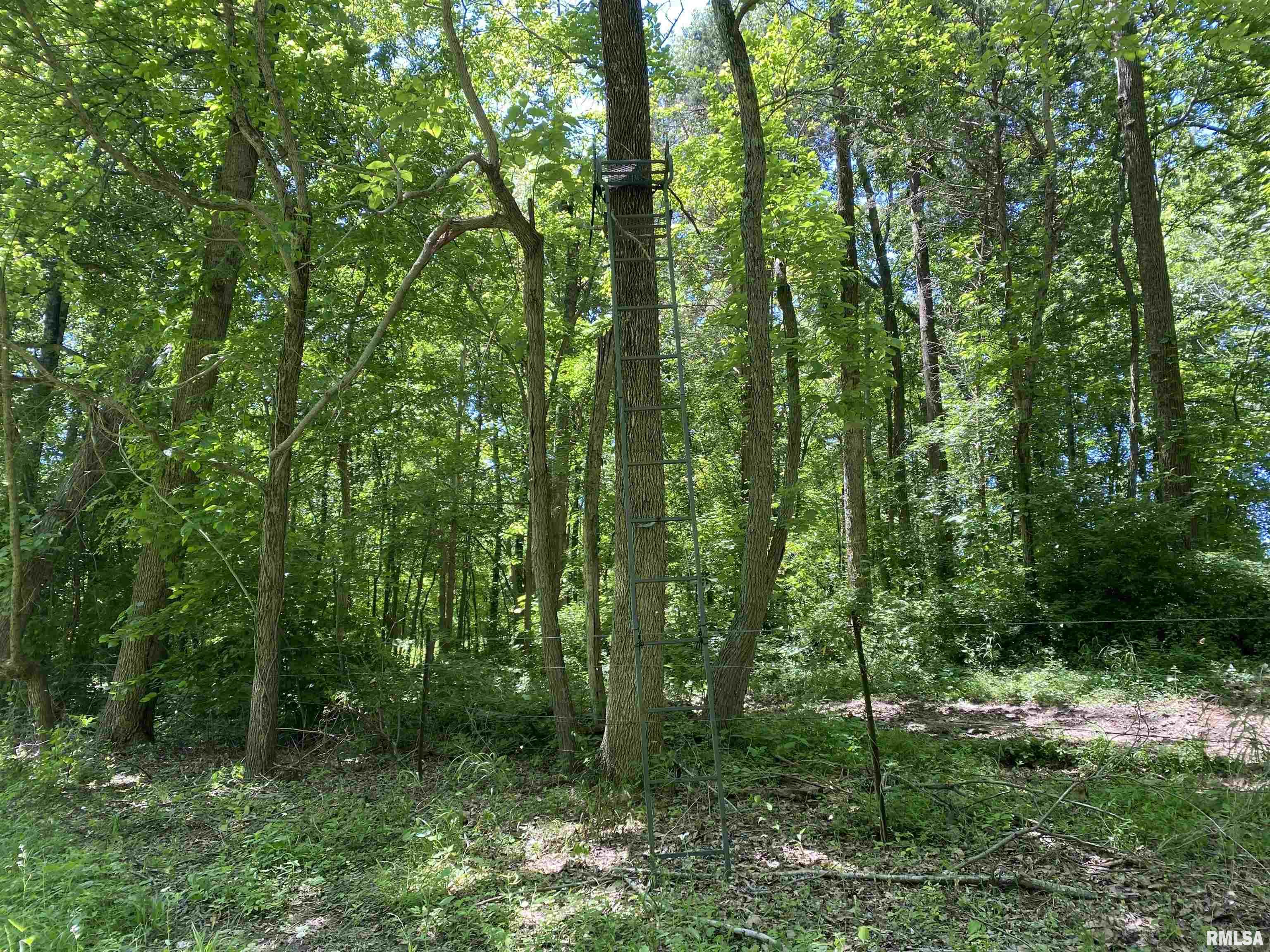 1640 Pleasant Ridge Road, Vienna, Illinois image 39