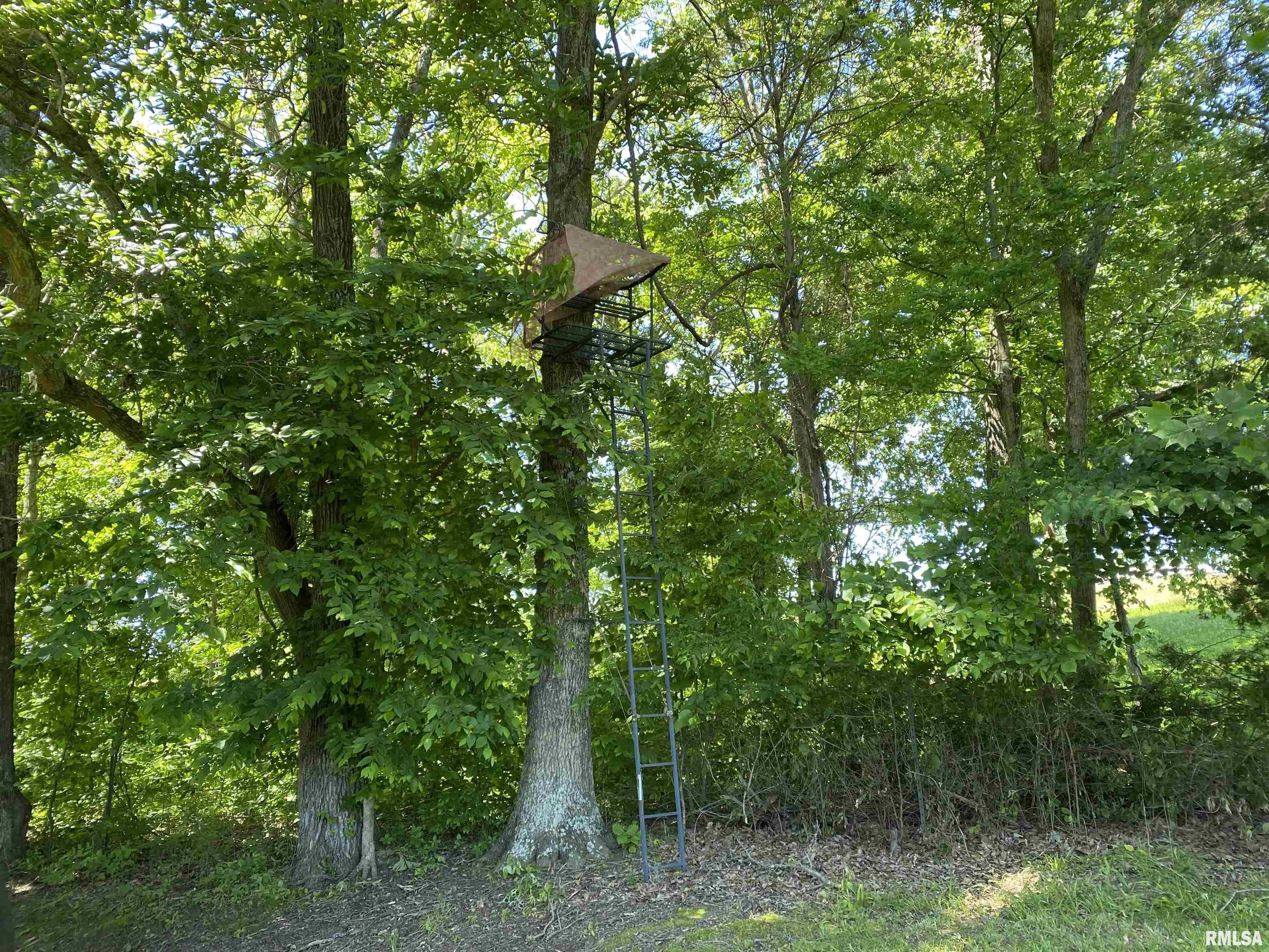 1640 Pleasant Ridge Road, Vienna, Illinois image 42