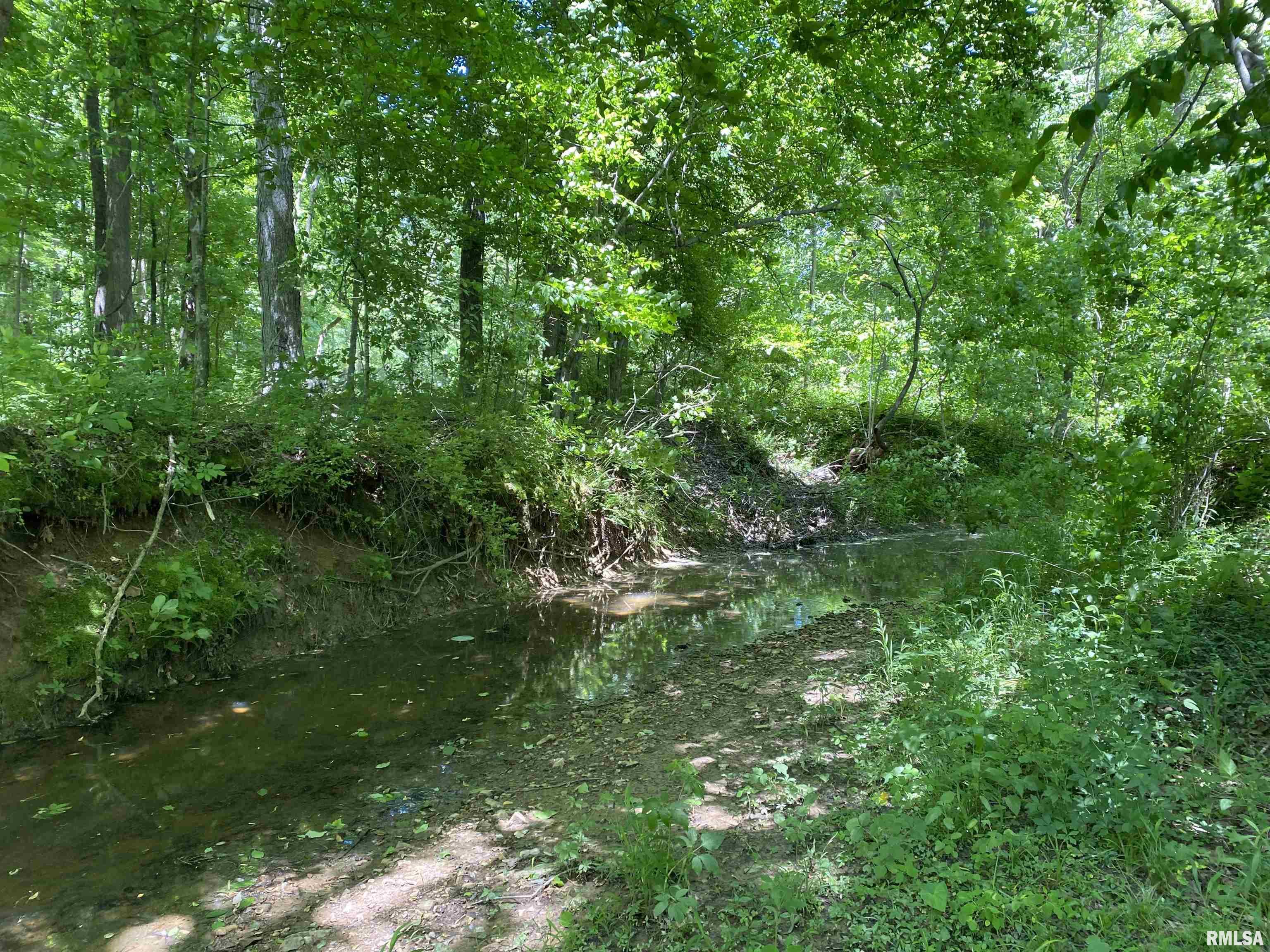 1640 Pleasant Ridge Road, Vienna, Illinois image 34
