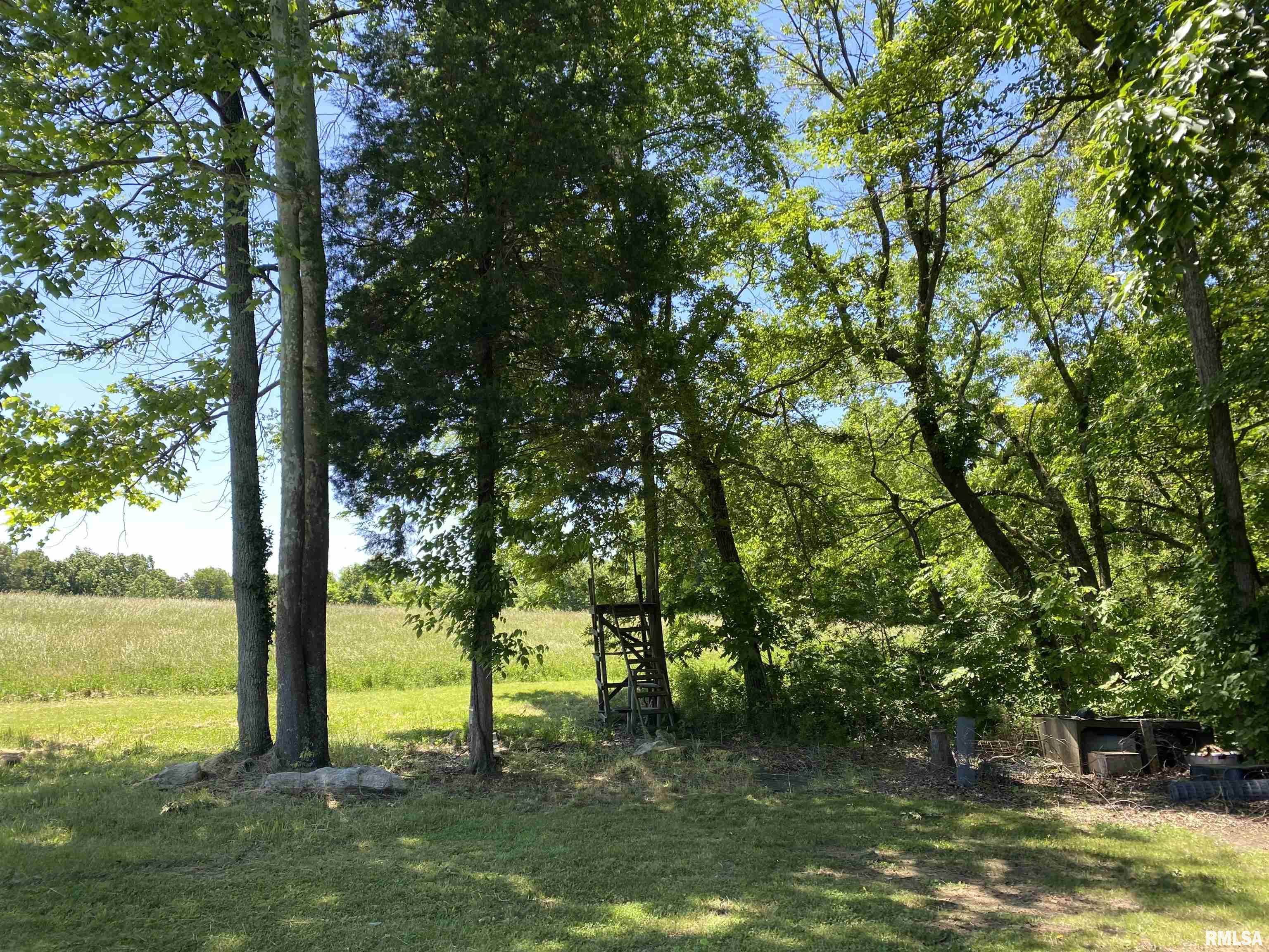 1640 Pleasant Ridge Road, Vienna, Illinois image 28