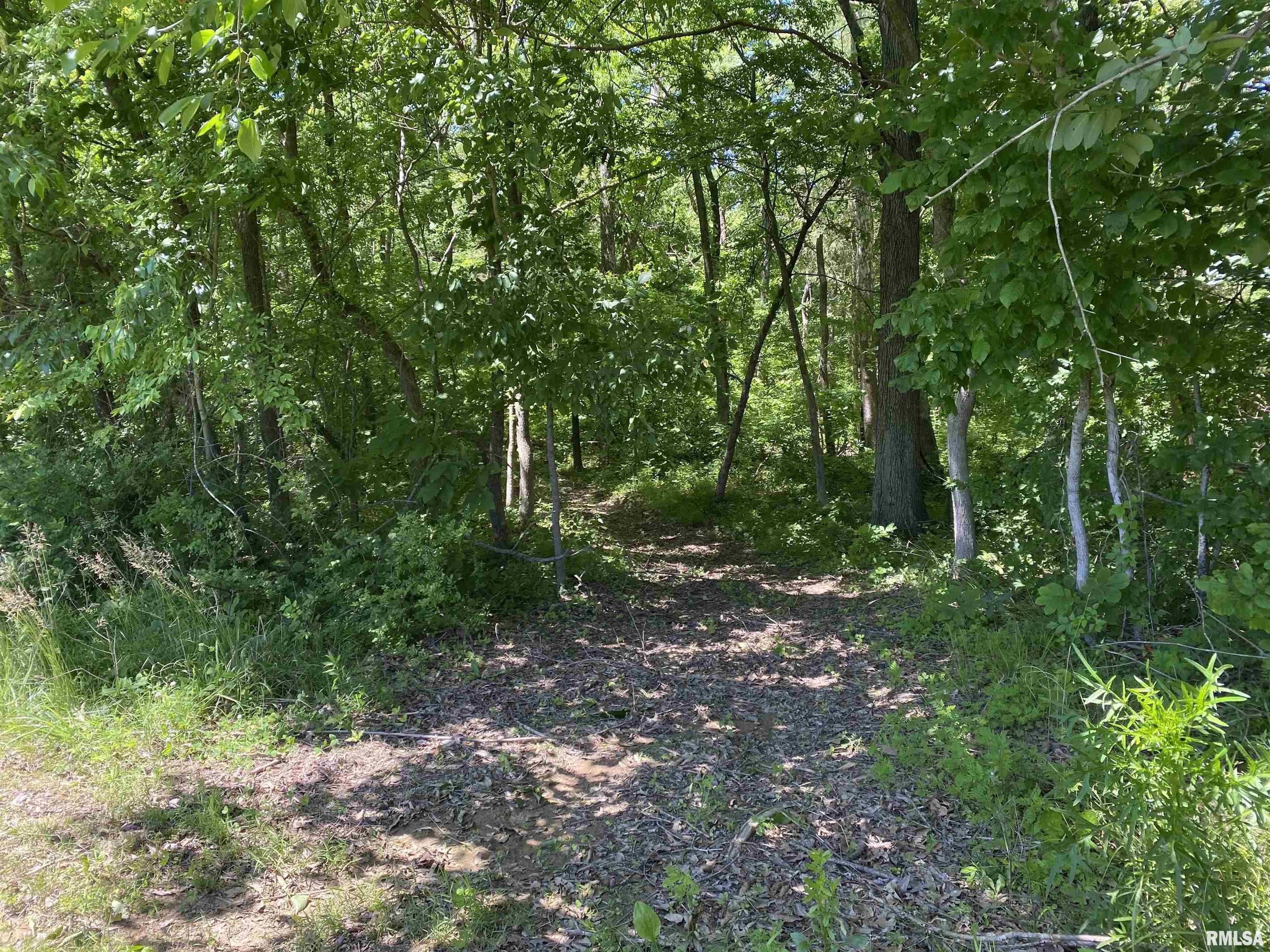 1640 Pleasant Ridge Road, Vienna, Illinois image 8