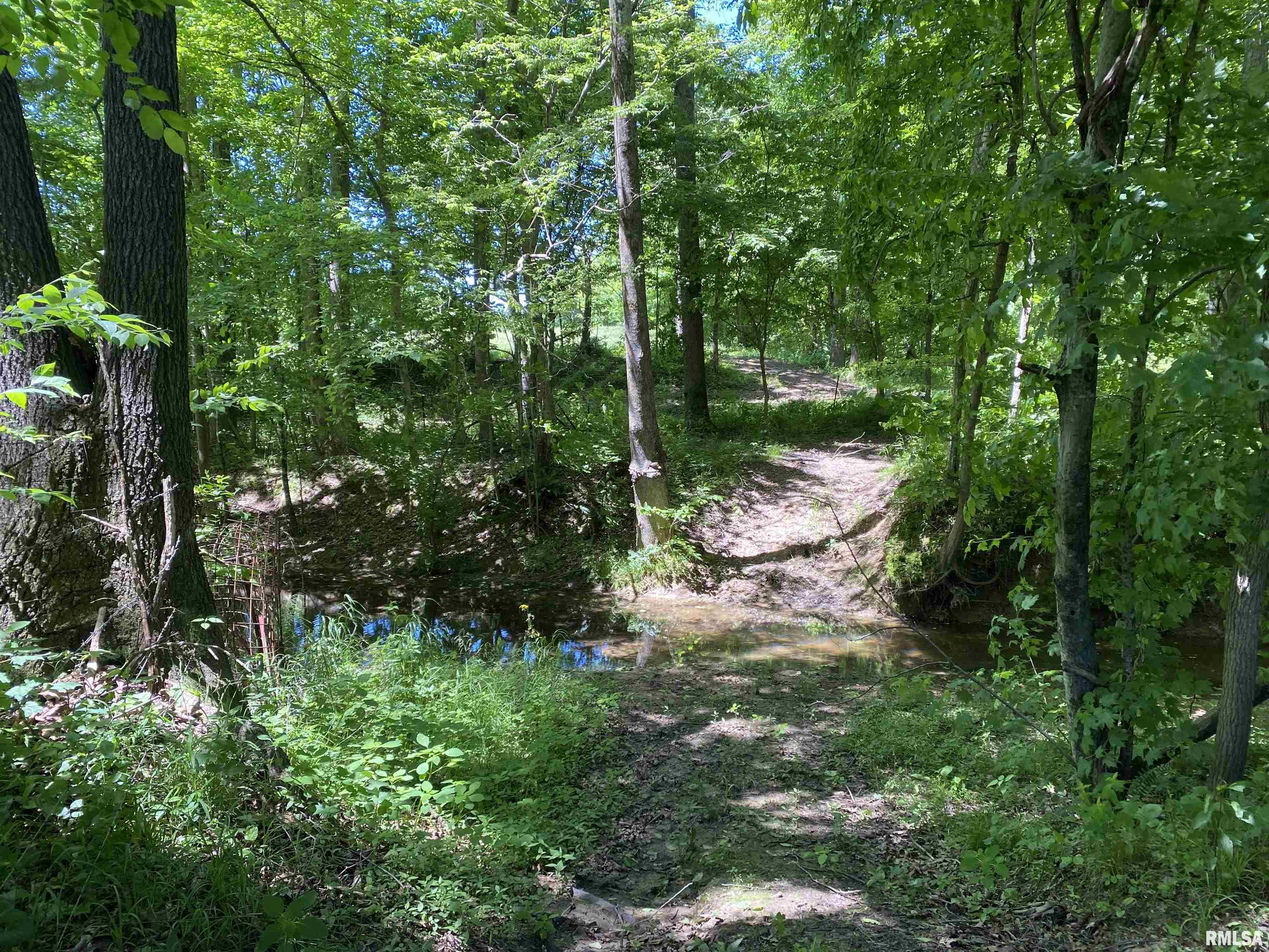 1640 Pleasant Ridge Road, Vienna, Illinois image 31