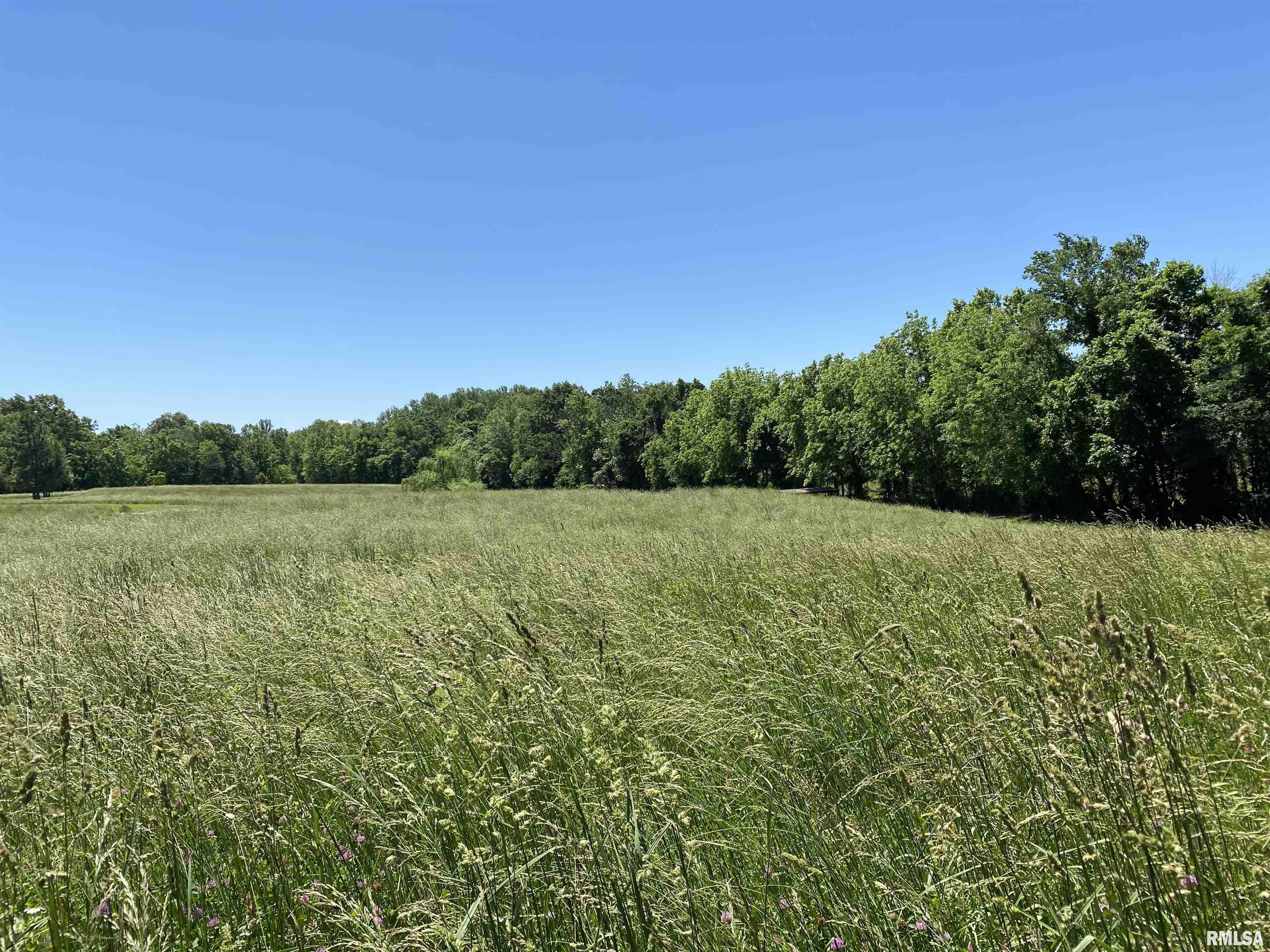 1640 Pleasant Ridge Road, Vienna, Illinois image 45
