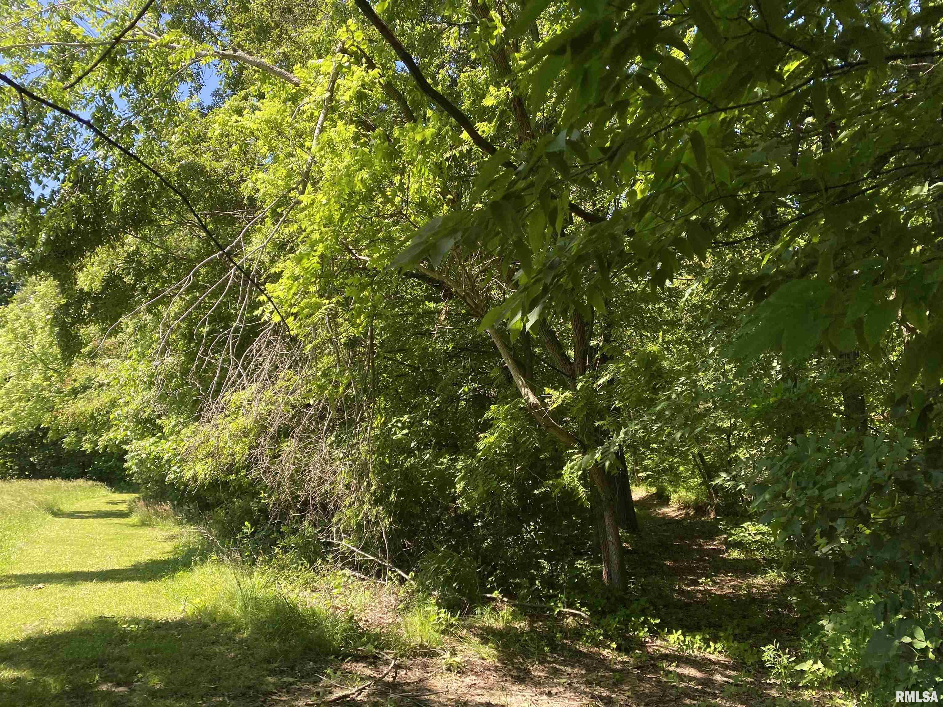 1640 Pleasant Ridge Road, Vienna, Illinois image 29