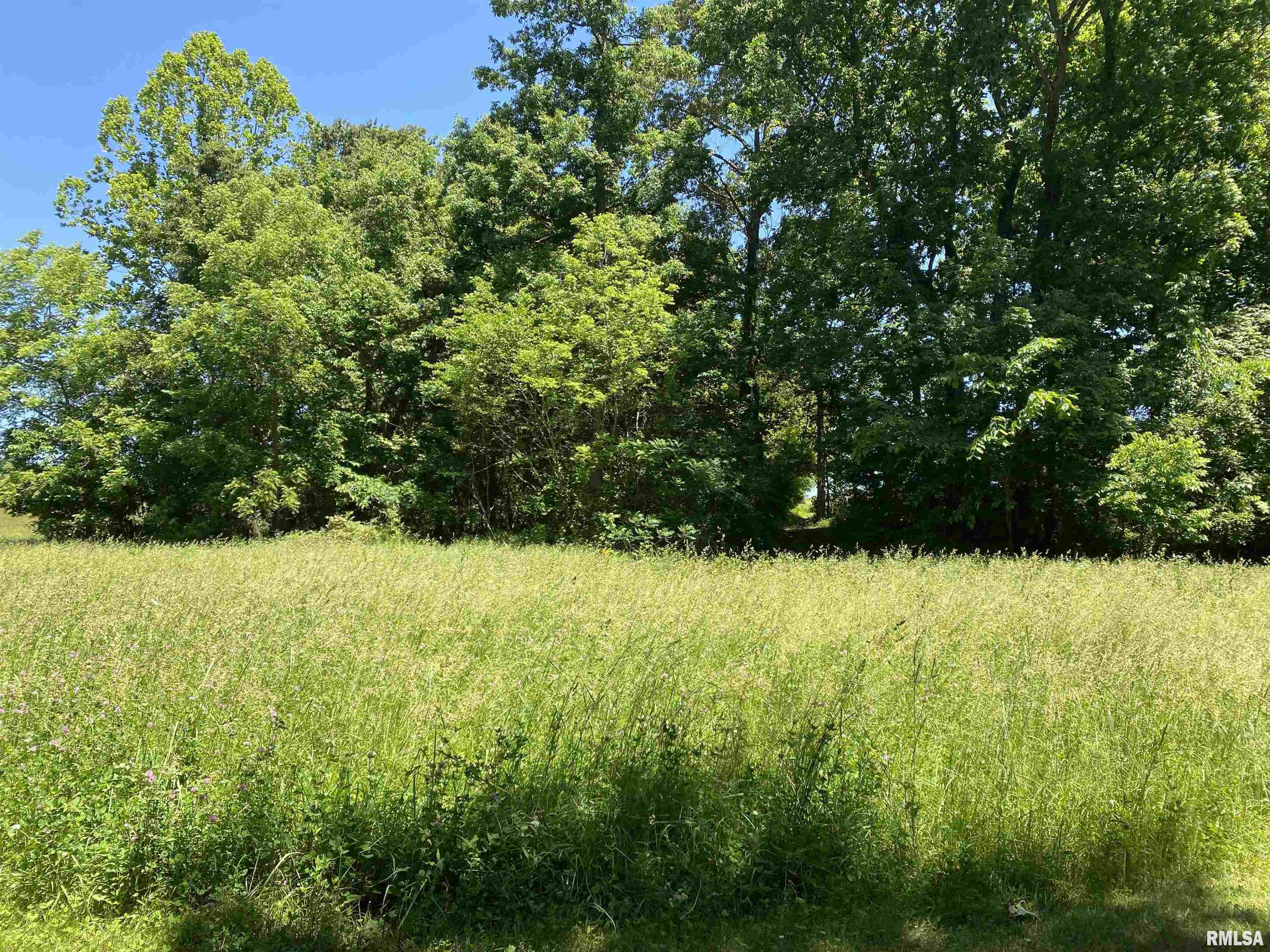 1640 Pleasant Ridge Road, Vienna, Illinois image 36