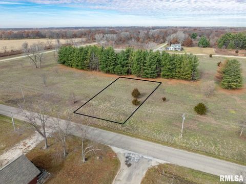 Vacant Land For Sale - 247 South Lakeview Road<br/> Knox County, Dahinda, IL 61428