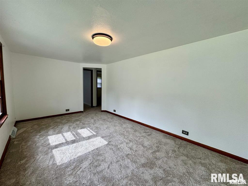 206 Chestnut Road, Cambria, Illinois image 9