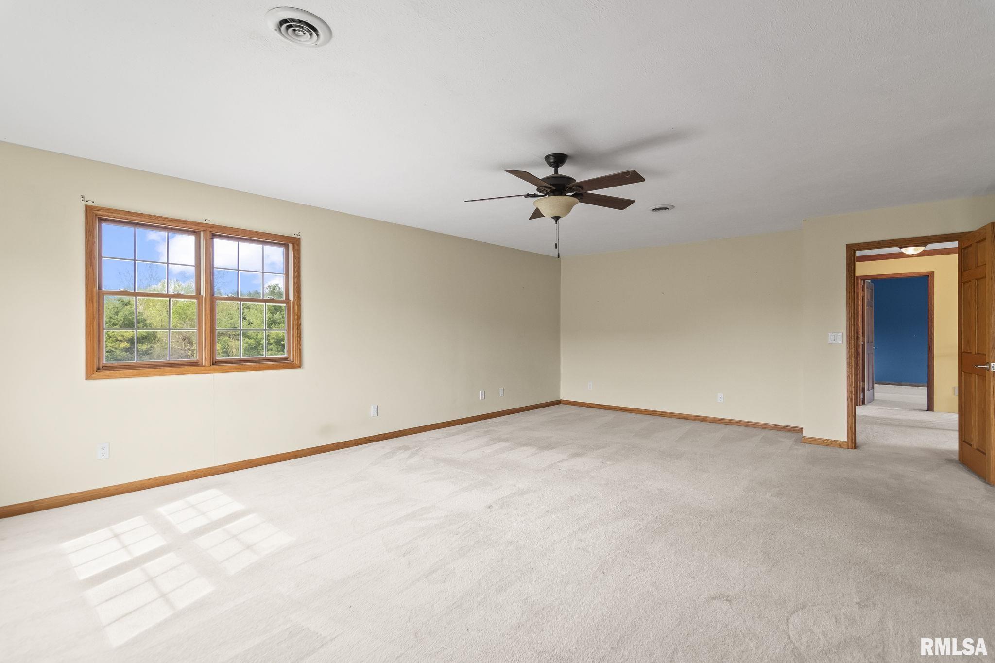 8687 Hilltop Court, Dawson, Illinois image 29