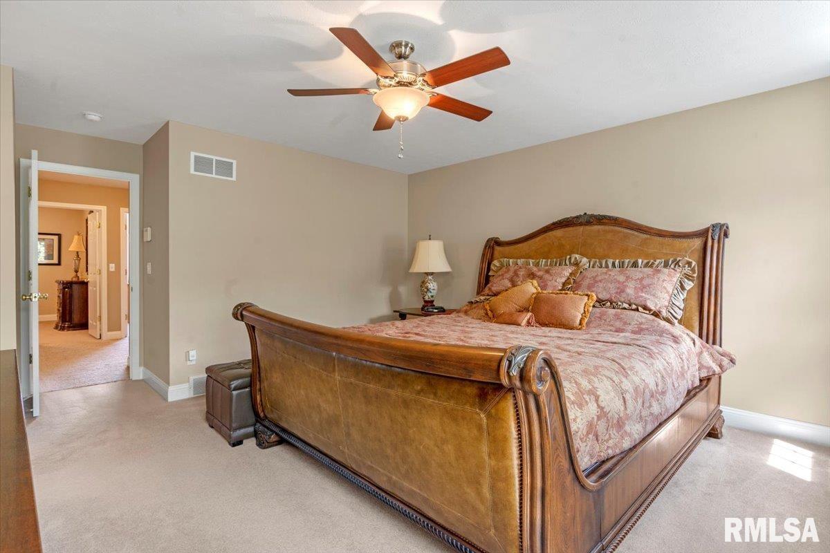 3540 Sandwood Drive, Springfield, Illinois image 21