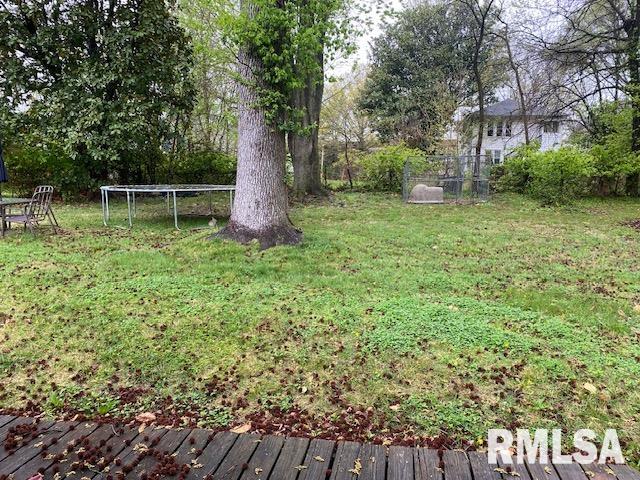 202 N Almond Street, Carbondale, Illinois image 19