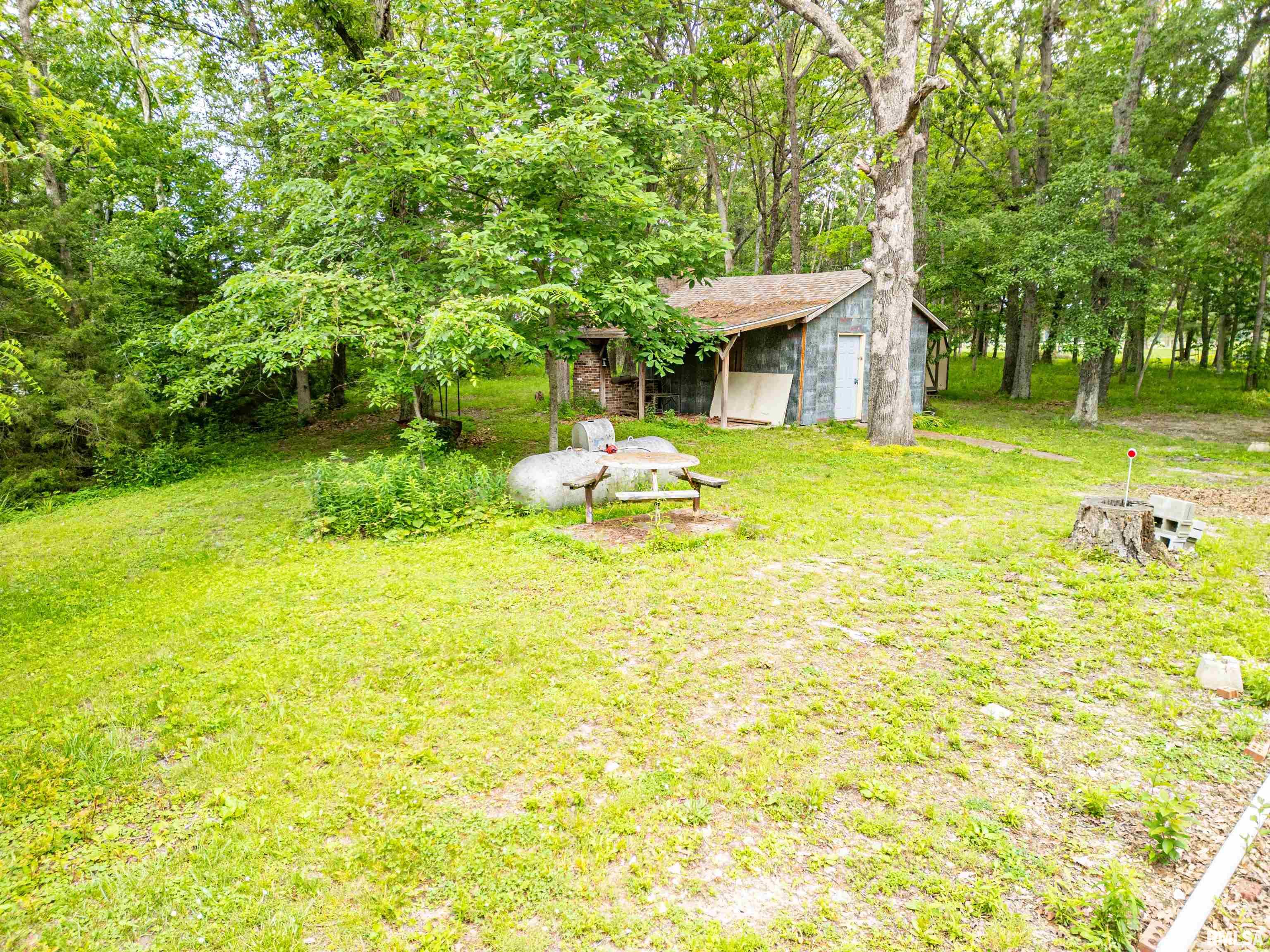 8328 Club Lane, Alma, Illinois image 10