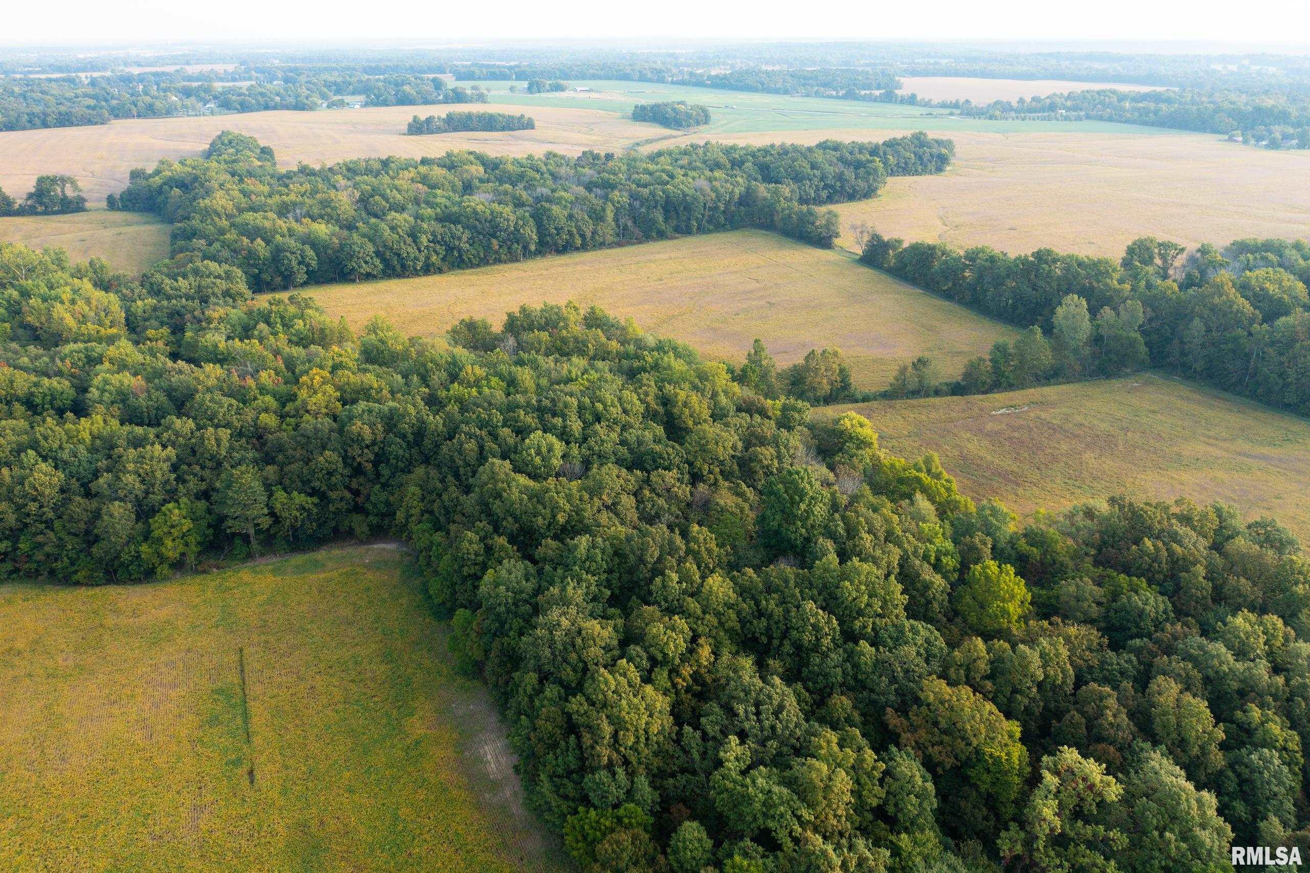 2317 Miller Road, Thompsonville, Illinois image 39