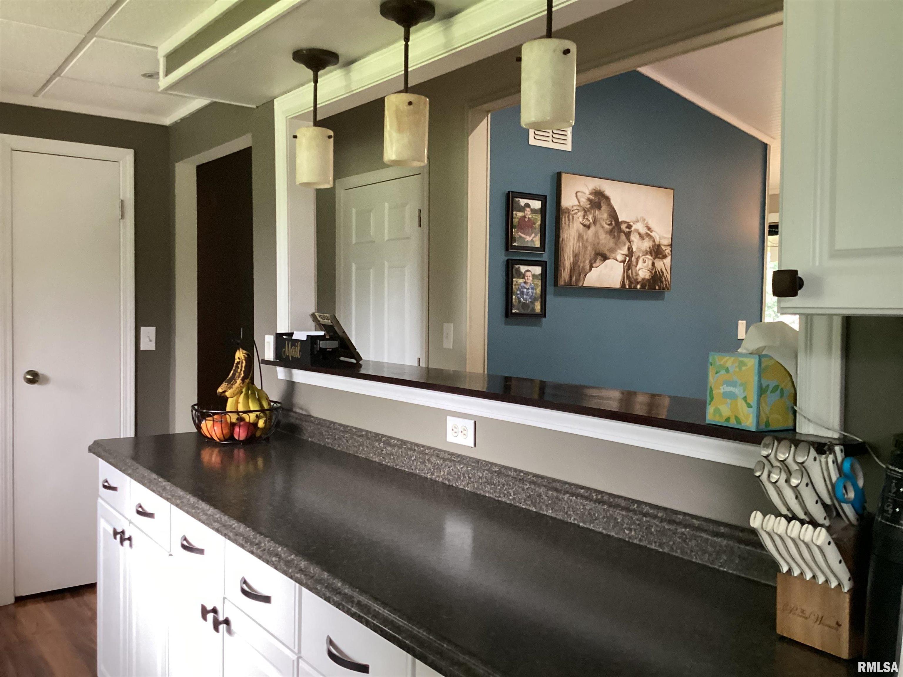54 Sugar Creek Hill, Auburn, Illinois image 19