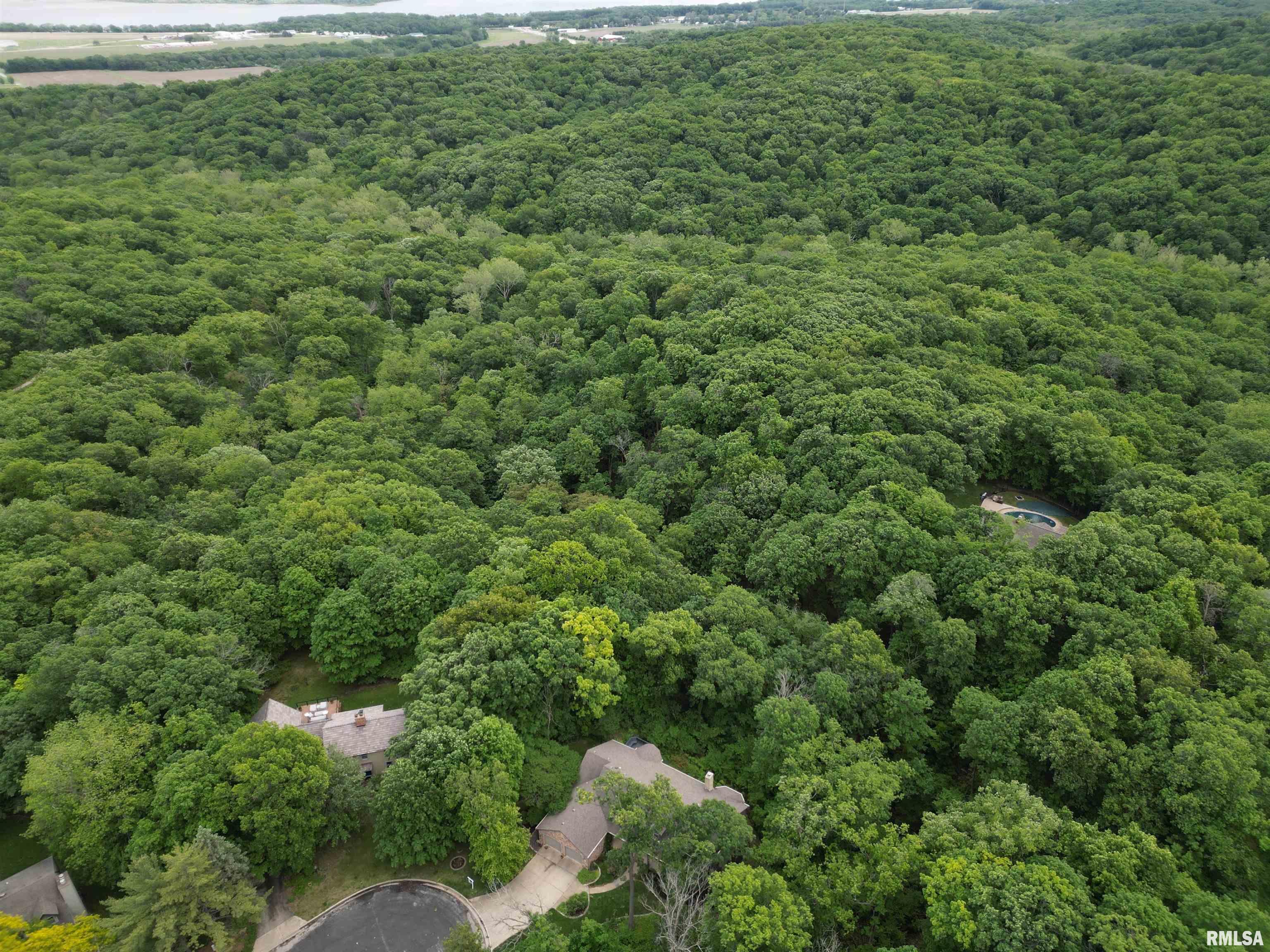 100 W Windflower Way, Dunlap, Illinois image 3