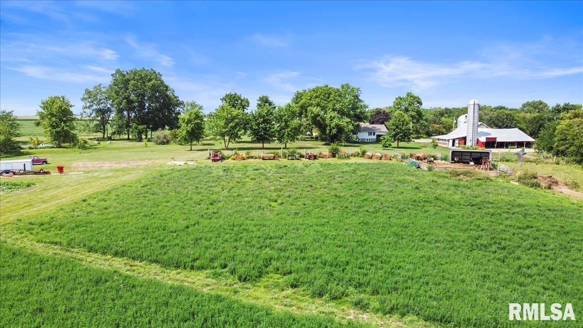 9379 Illini Lane, Palmyra, Illinois image 36