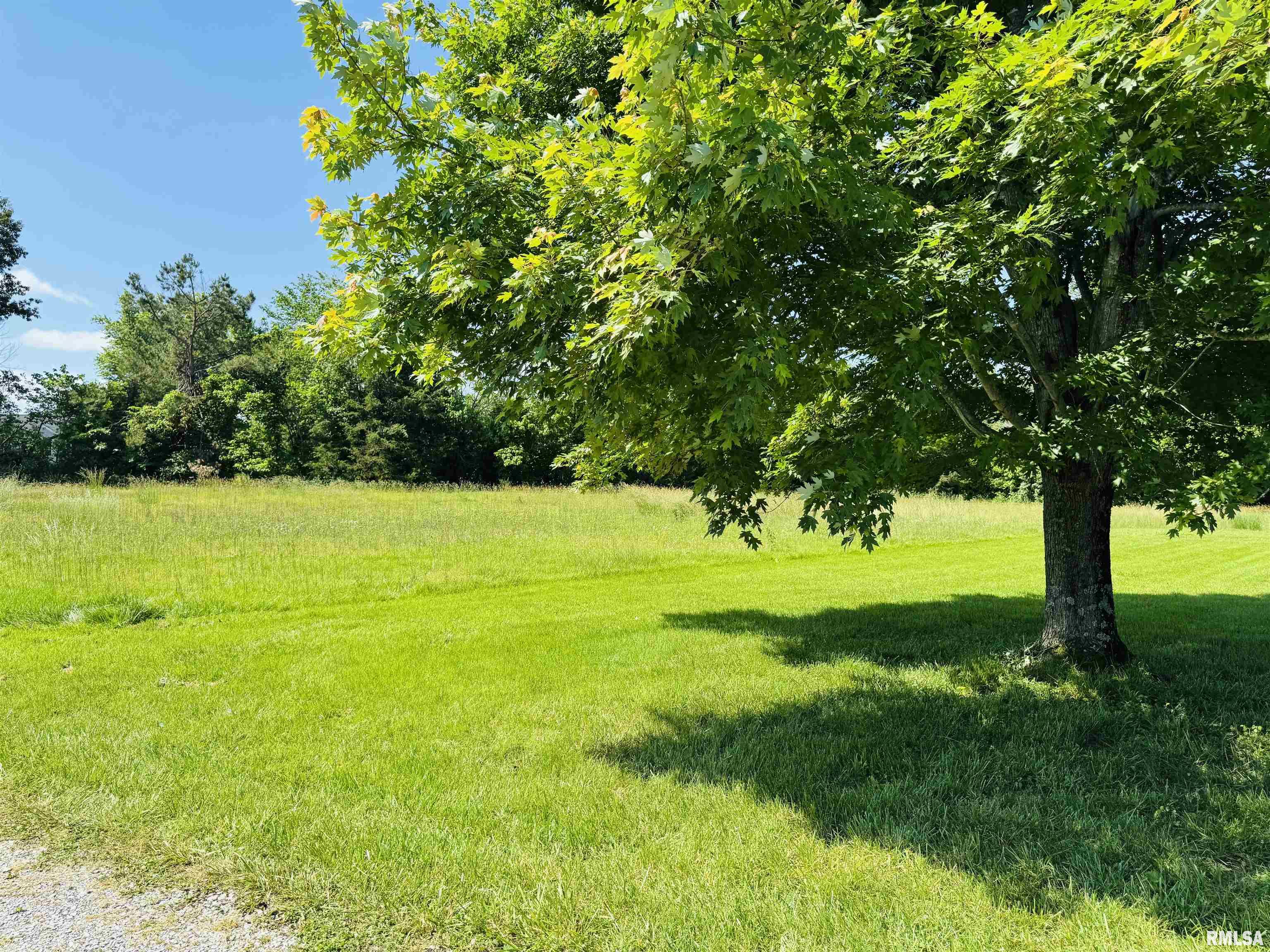 3685 Lick Creek Road, Anna, Illinois image 16