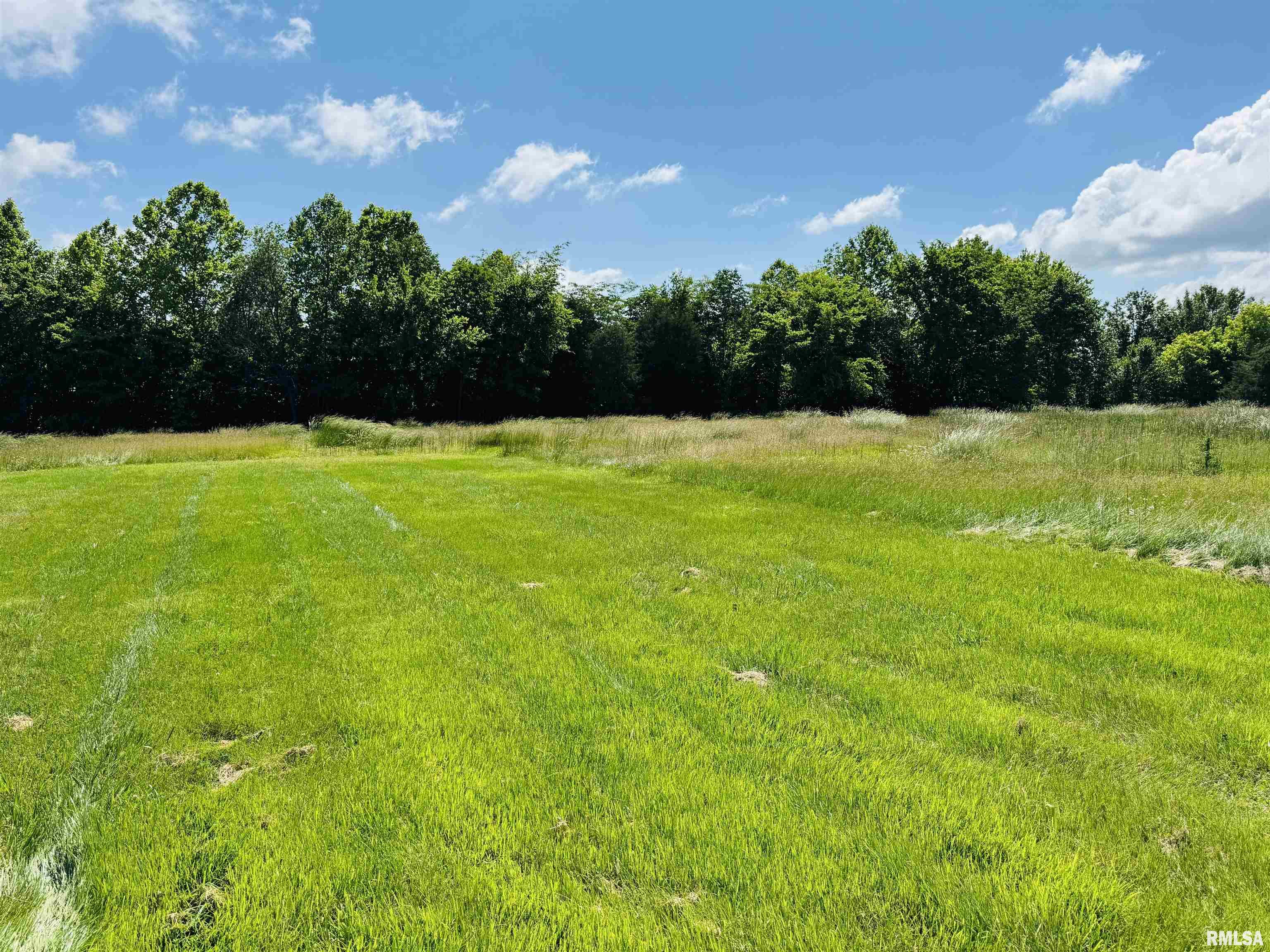 3685 Lick Creek Road, Anna, Illinois image 14