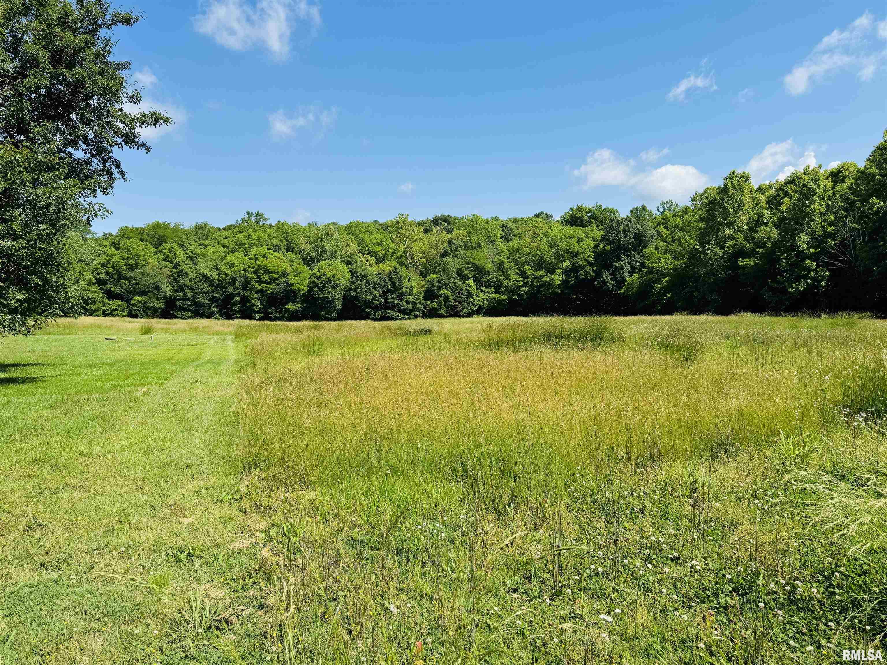 3685 Lick Creek Road, Anna, Illinois image 12