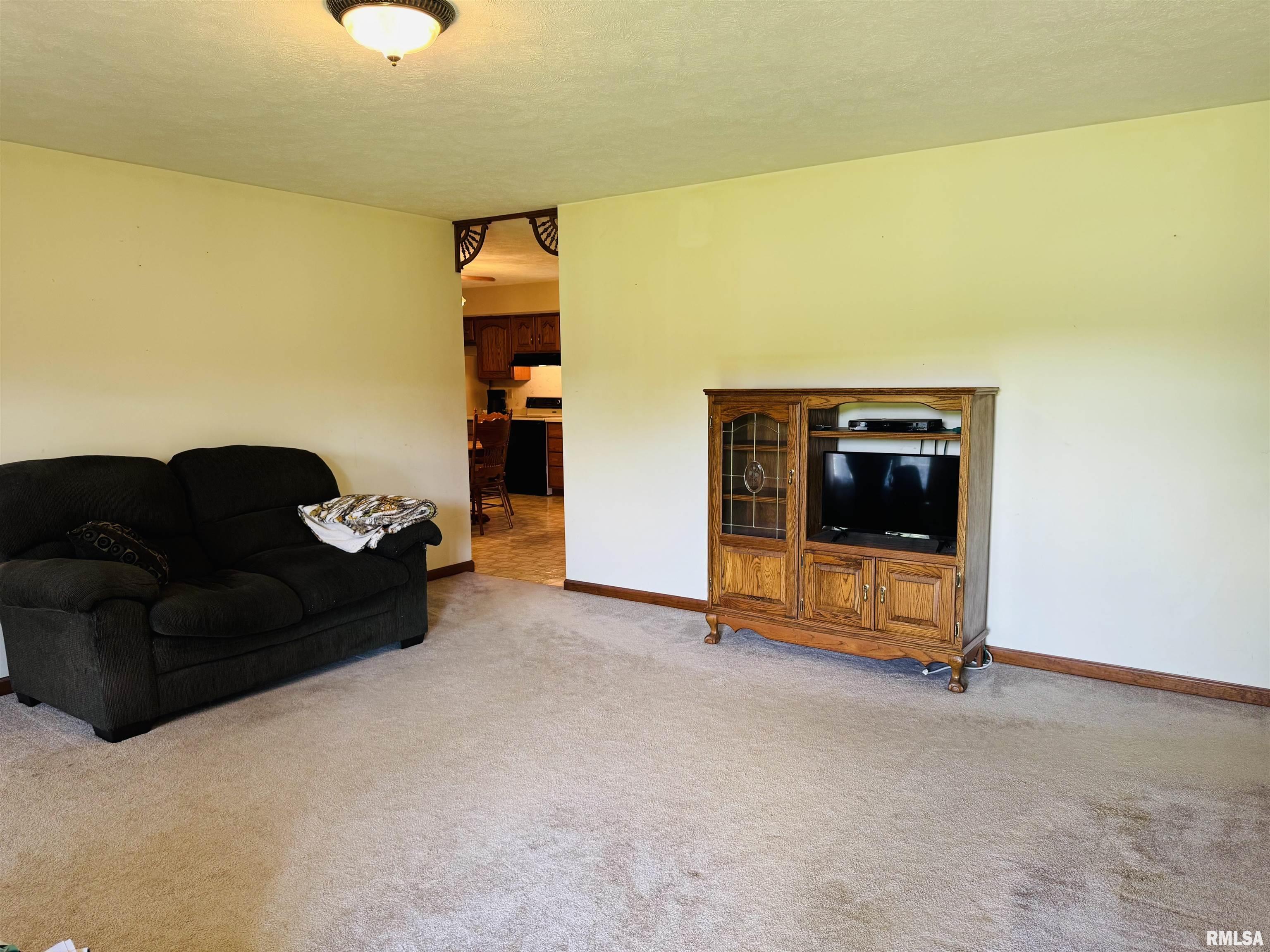 3685 Lick Creek Road, Anna, Illinois image 17