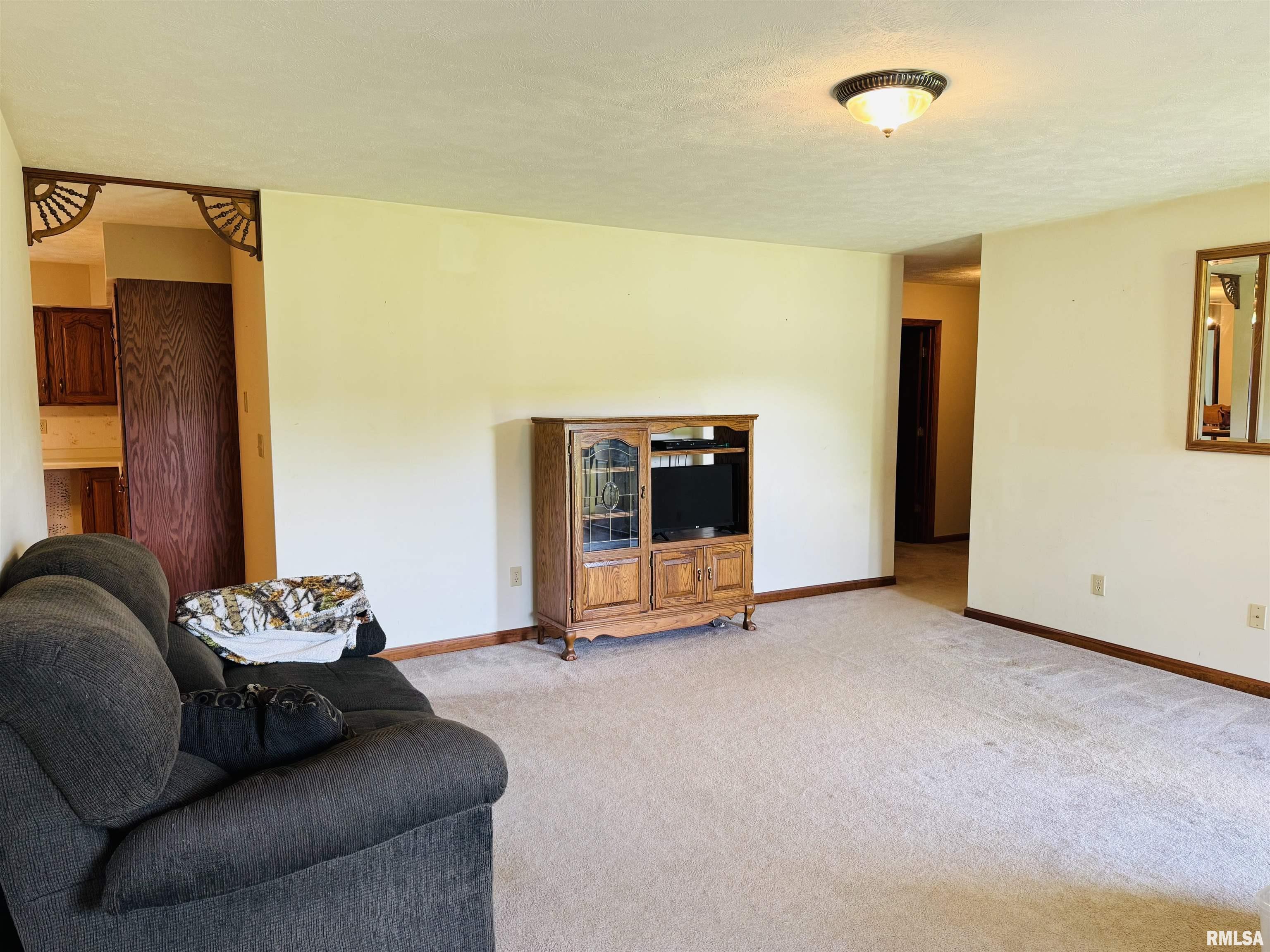 3685 Lick Creek Road, Anna, Illinois image 18