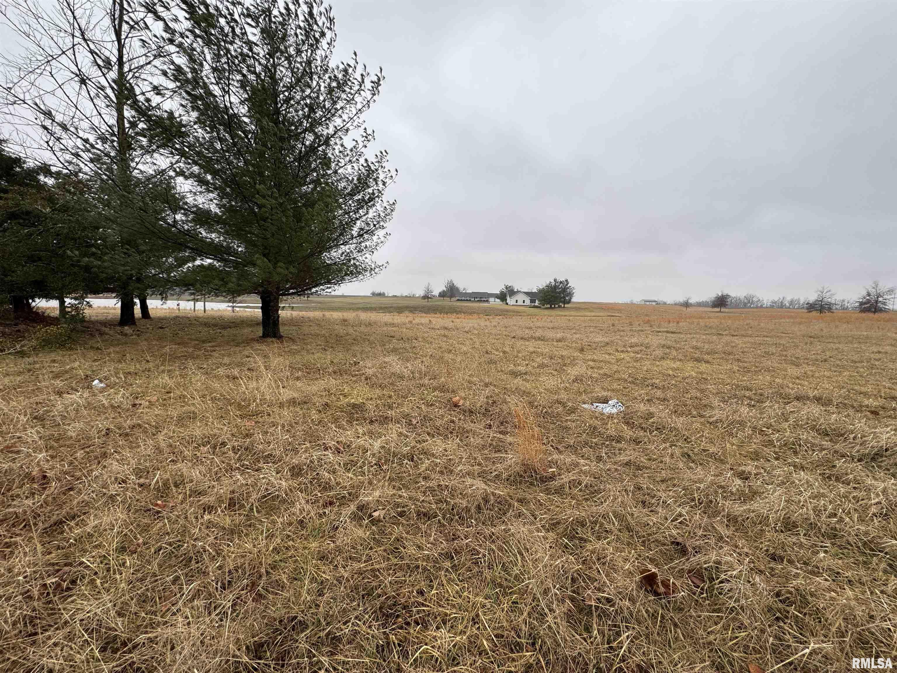 Lot 1&2 Raleigh Road, Eldorado, Illinois image 1