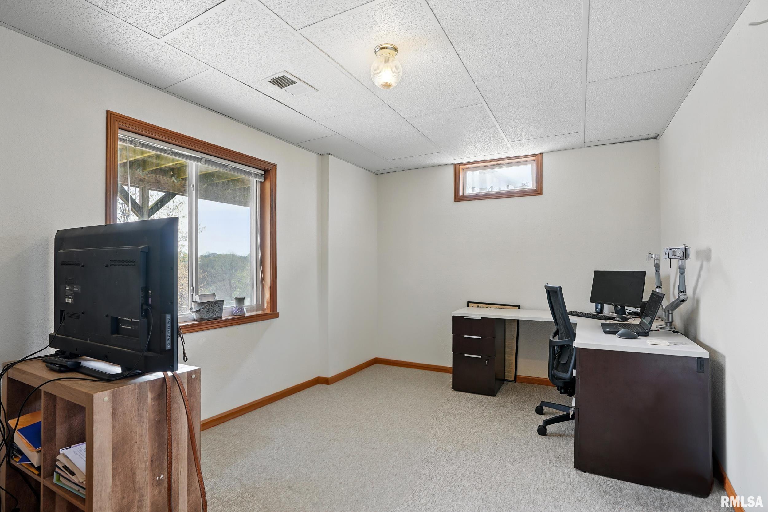 9721 115th Street West, Andalusia, Illinois image 38