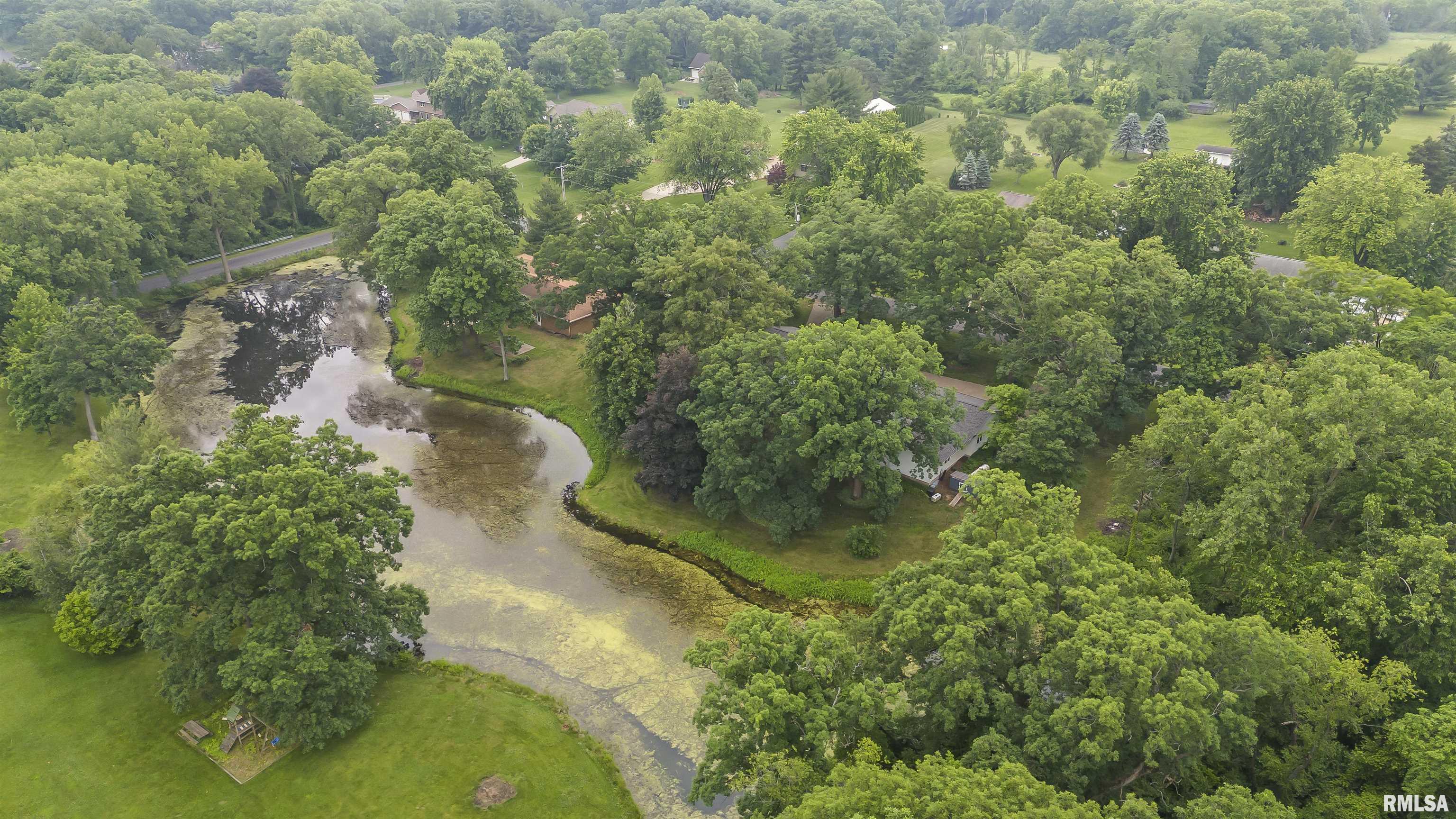 201 E Lake Shore Drive, Edelstein, Illinois image 4