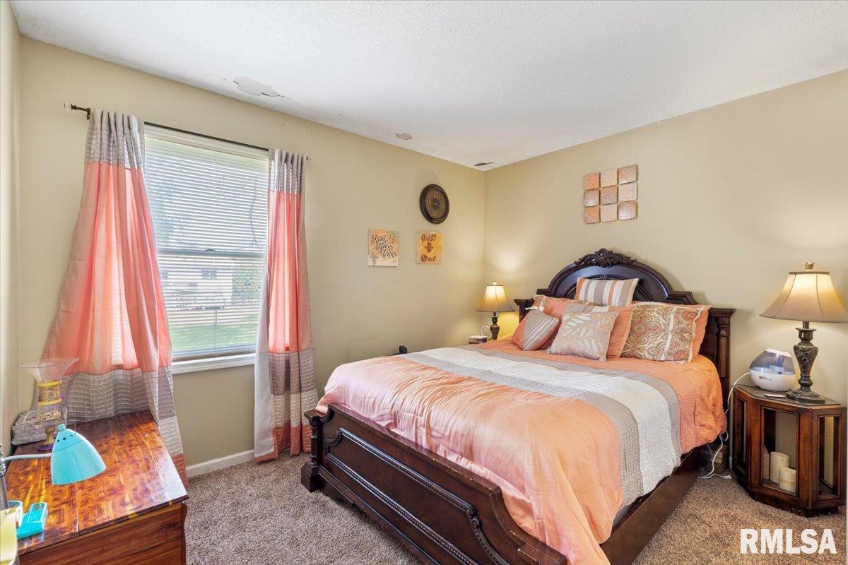3110 N Pine Street, Davenport, Iowa image 16